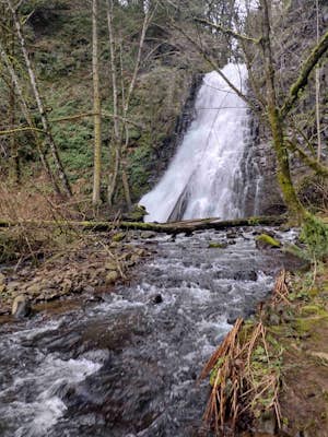 Fall Creek Falls (aka Stella Falls)
