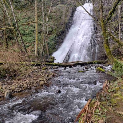 Fall Creek Falls (aka Stella Falls)