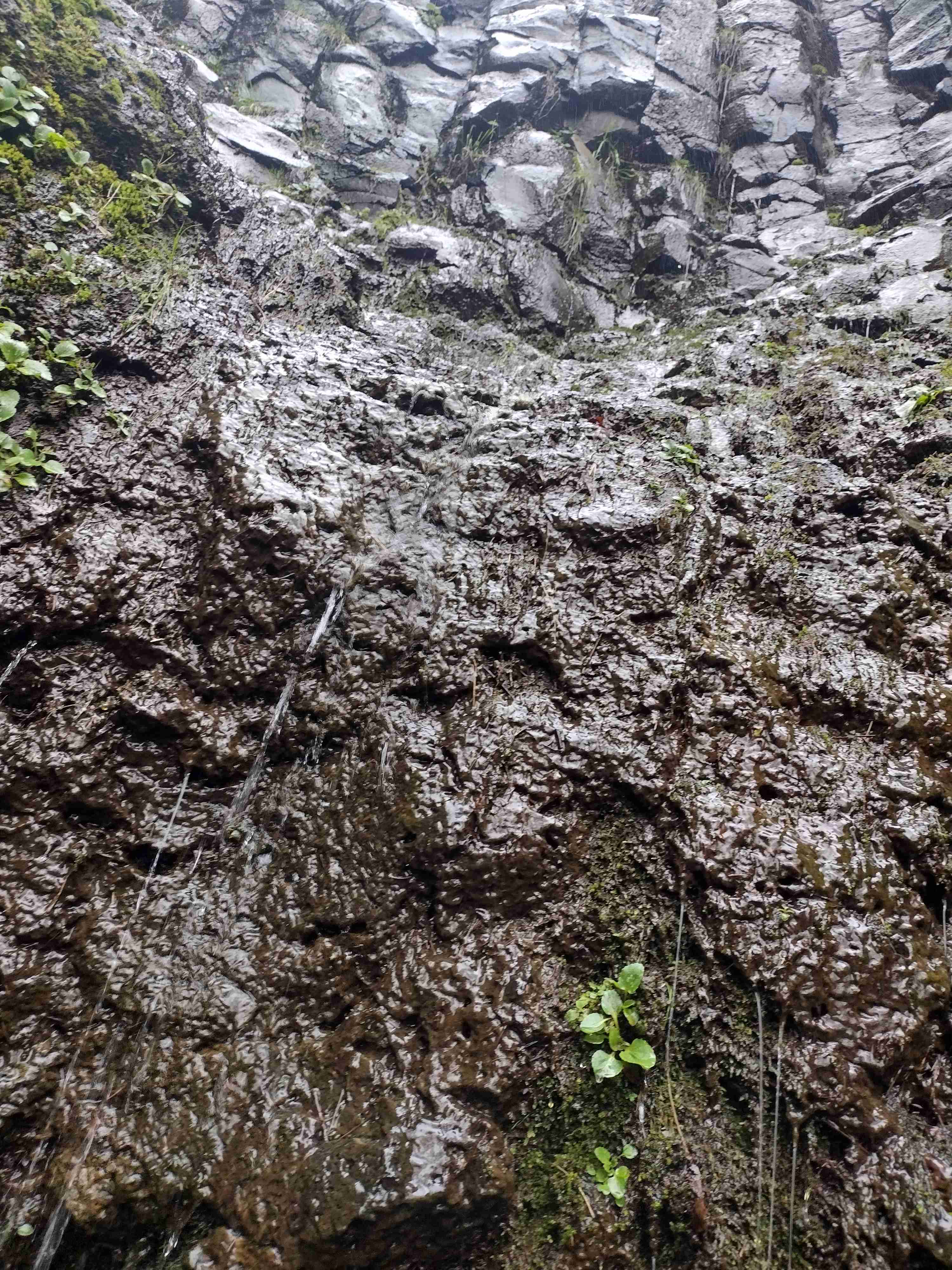 Fall Creek Falls (aka Stella Falls)