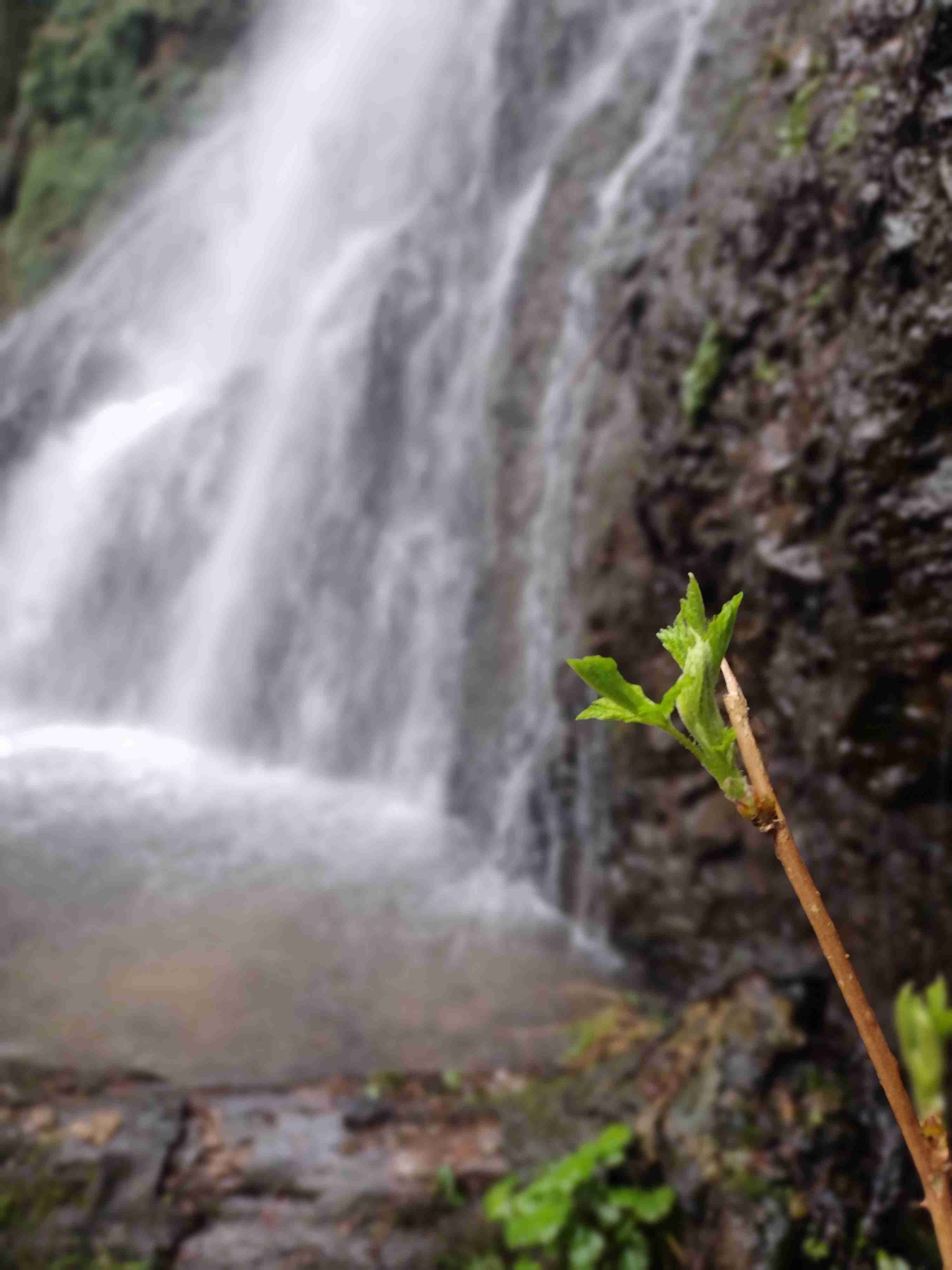Fall Creek Falls (aka Stella Falls)