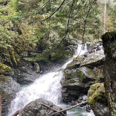Hike to Rosewall Creek Falls