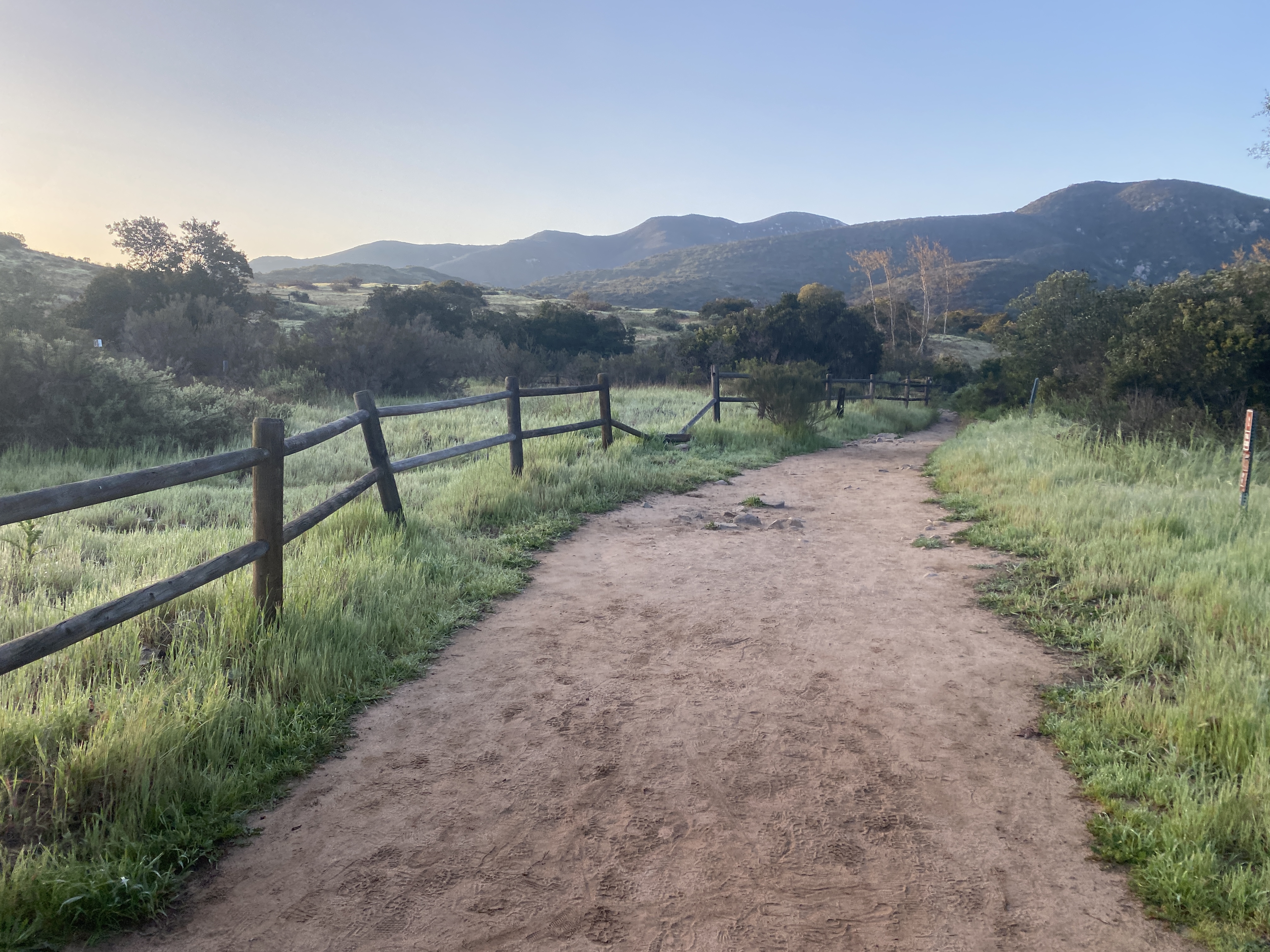 Oak Canyon in Mission Trails Regional Park