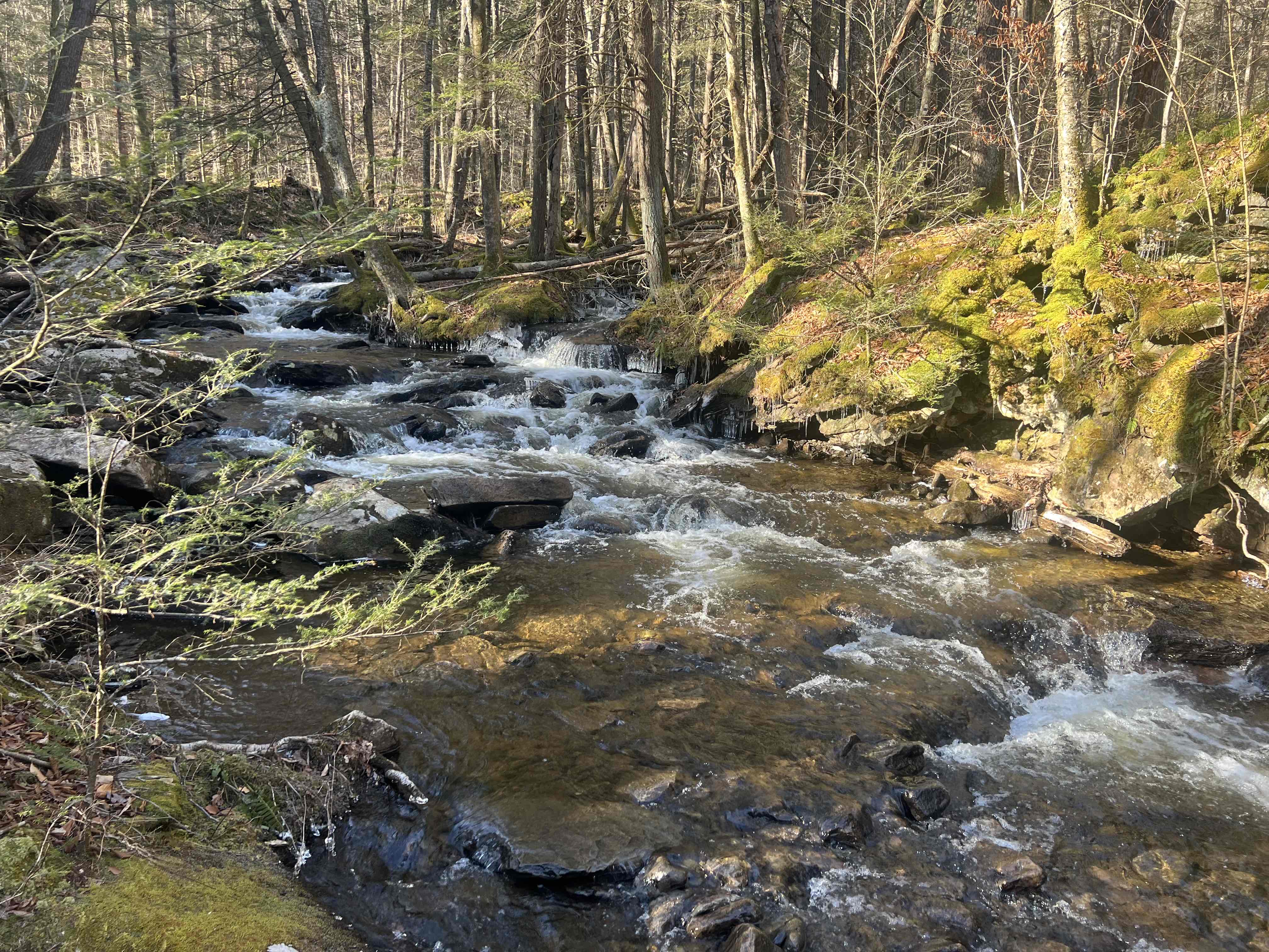 Double Run Nature Trail