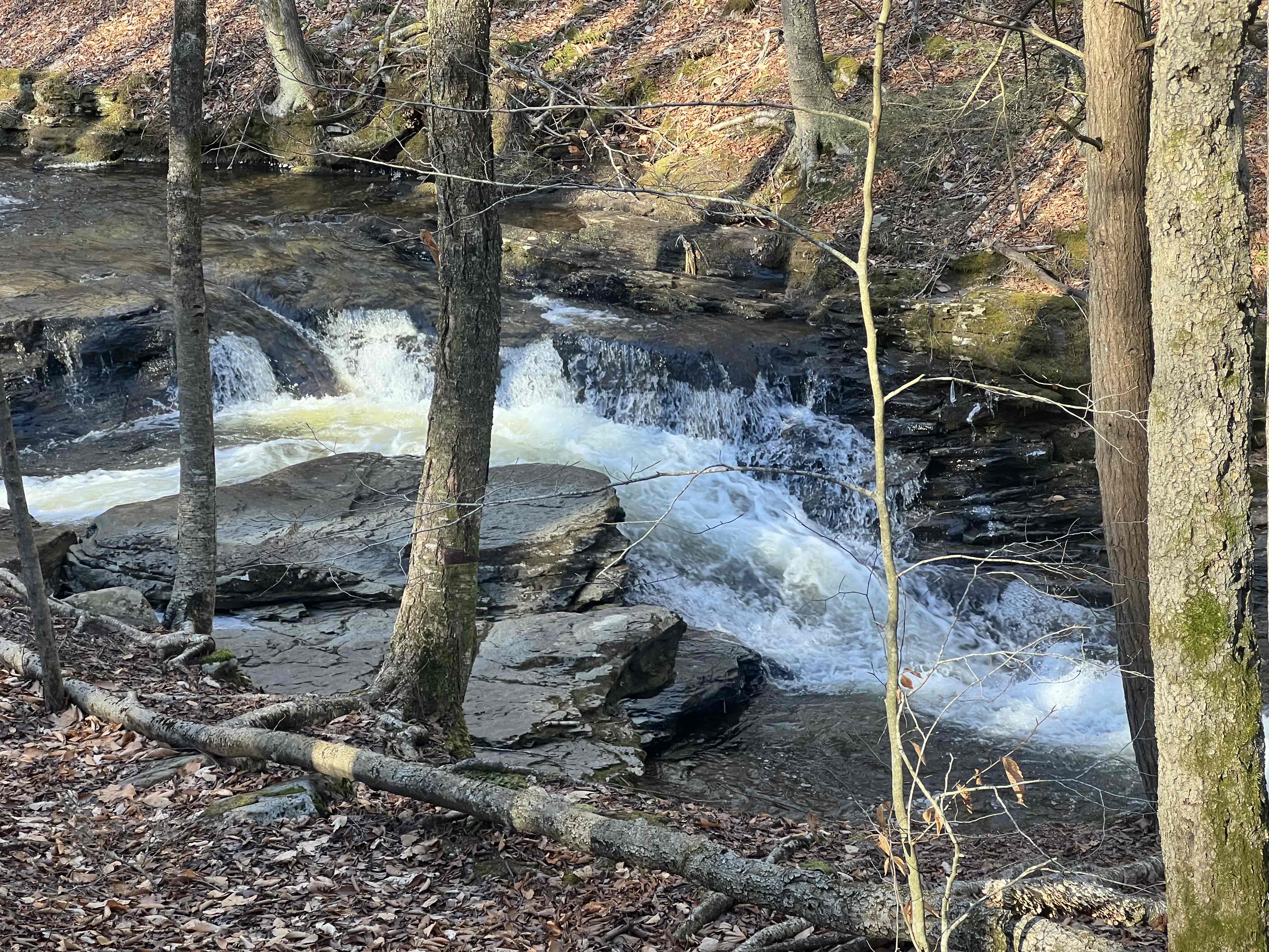 Double Run Nature Trail