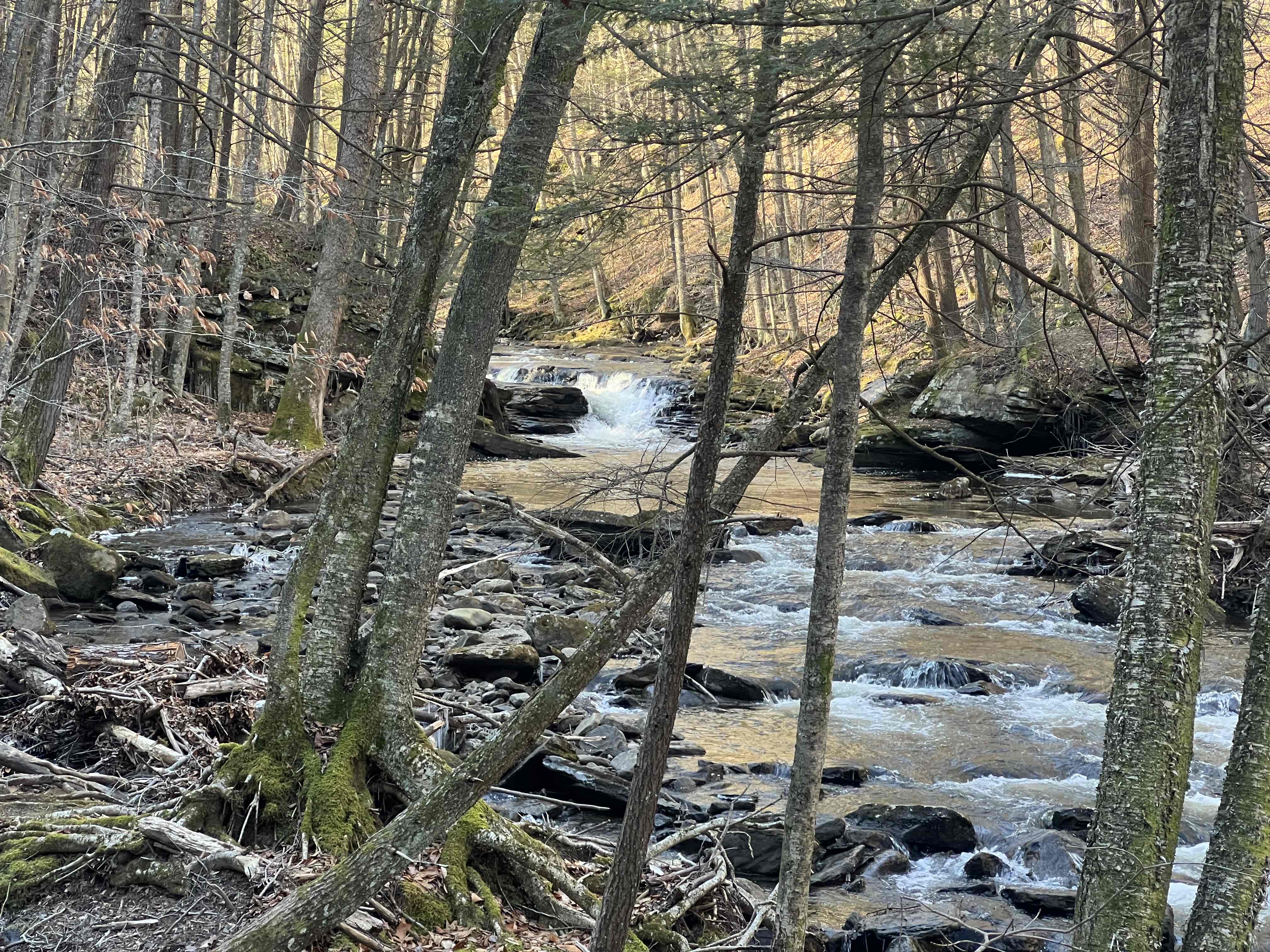 Double Run Nature Trail