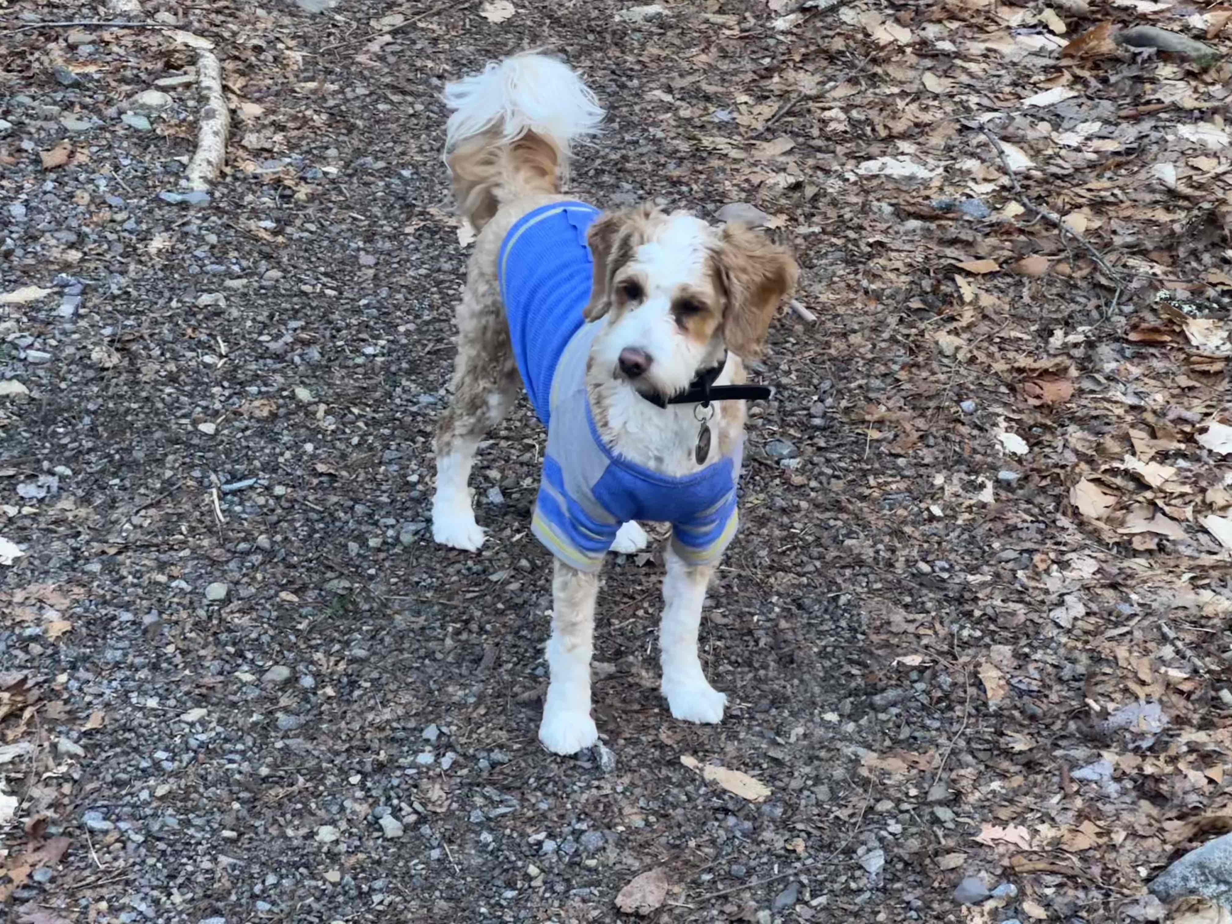 Double Run Nature Trail