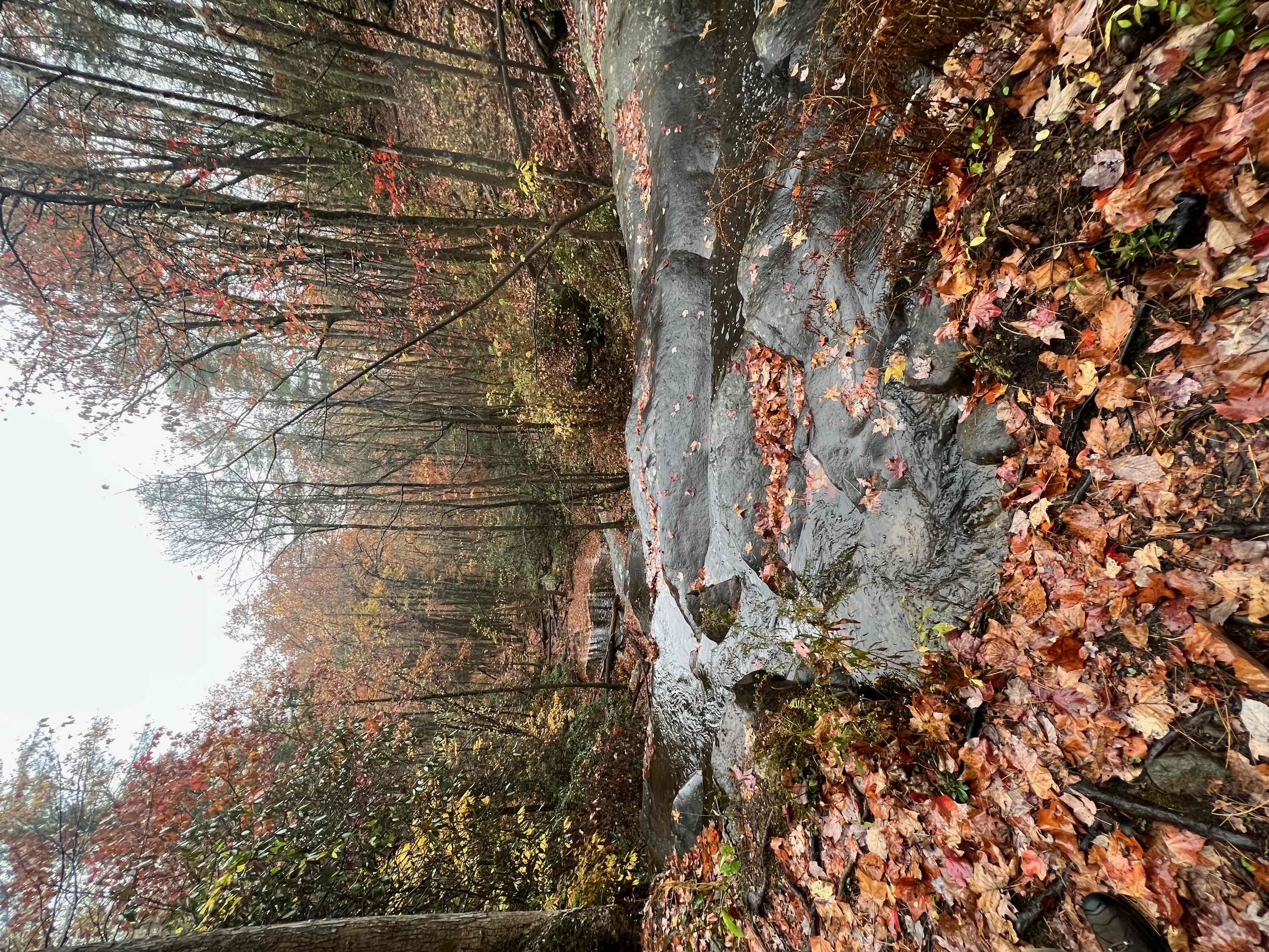 Emery Creek Falls