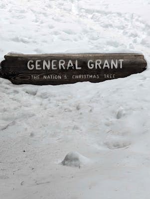 General Grant Loop Trail