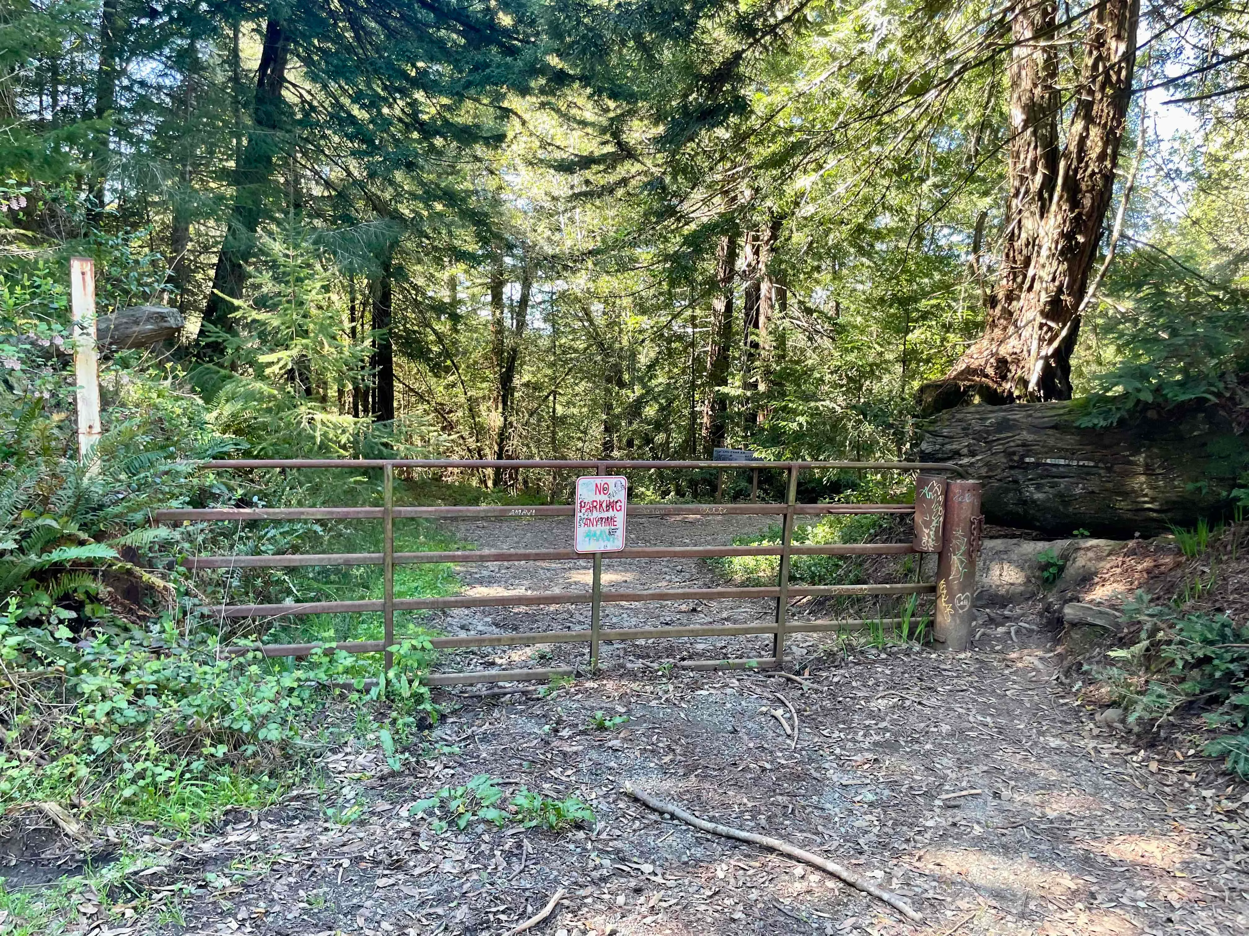 Watershed View Trail