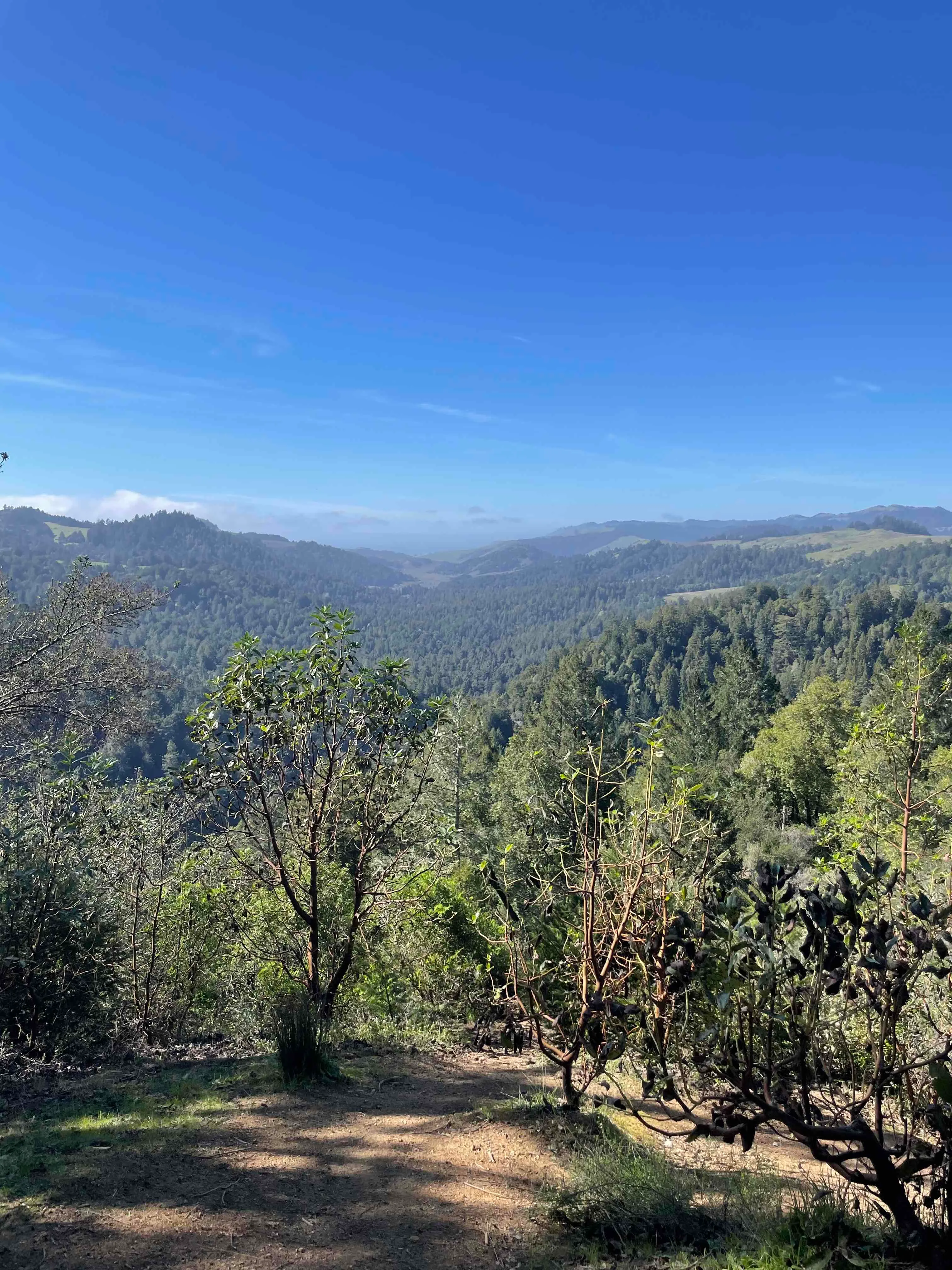 Watershed View Trail