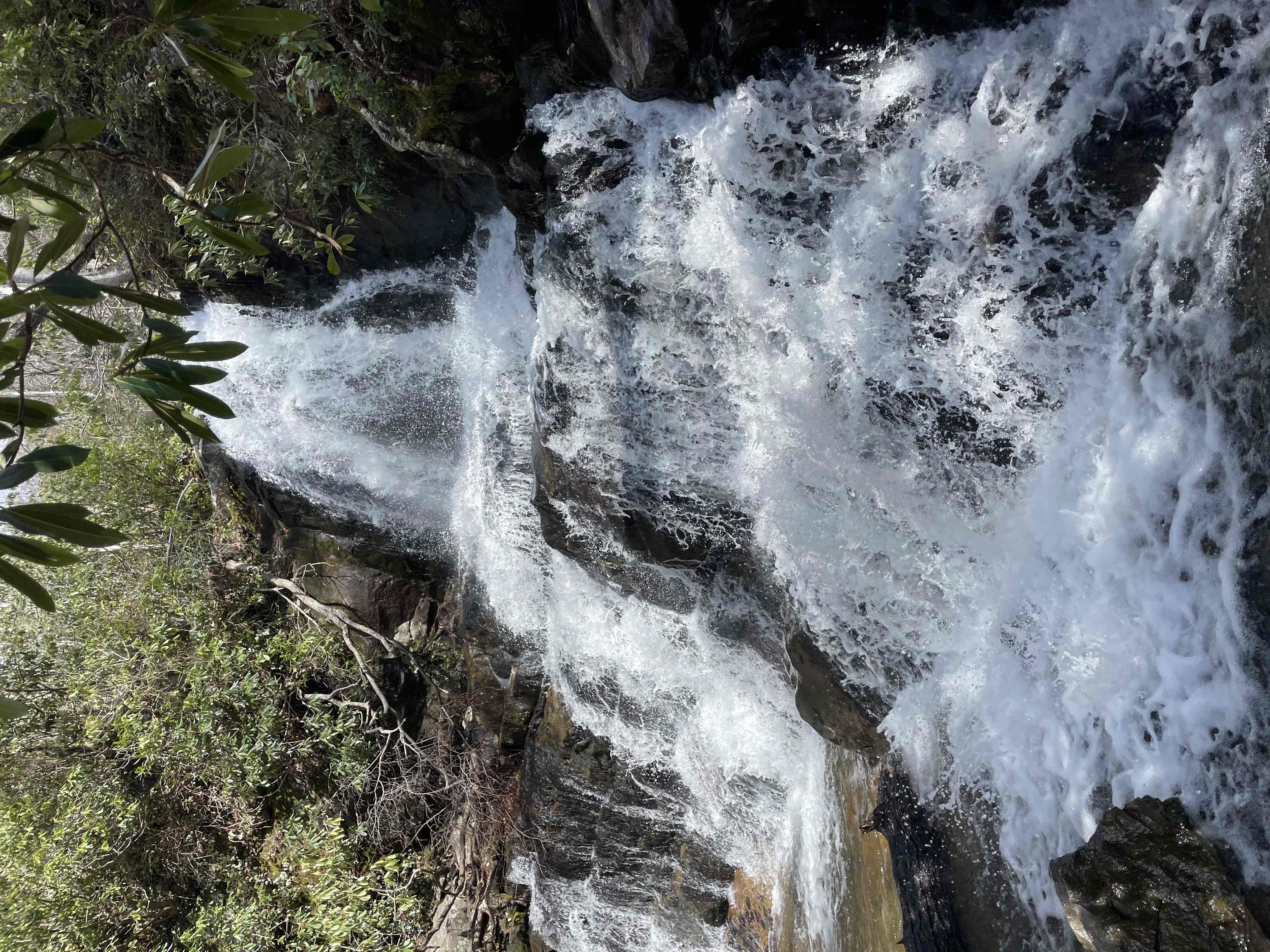 Laurel Falls Trail