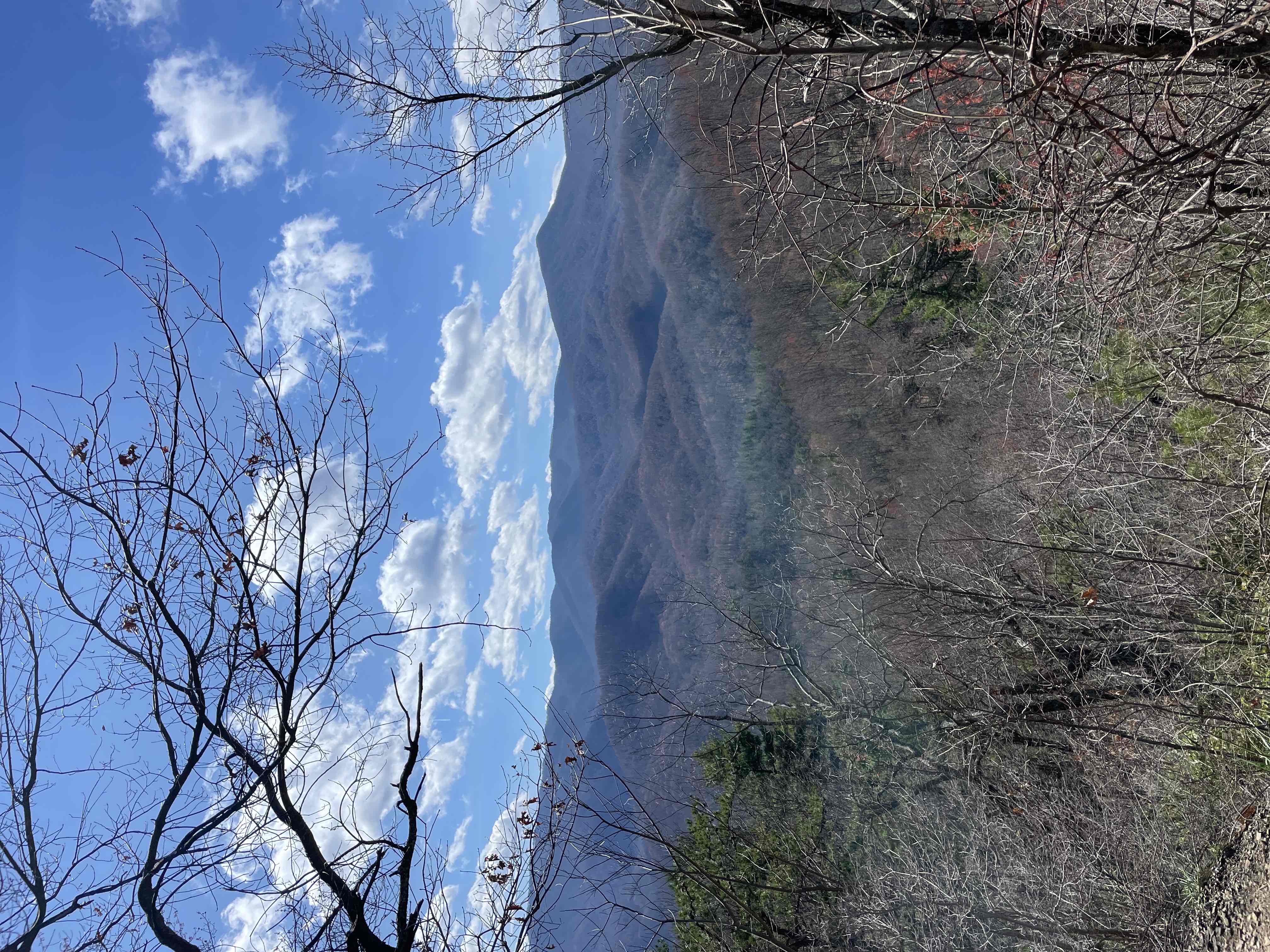 Laurel Falls Trail