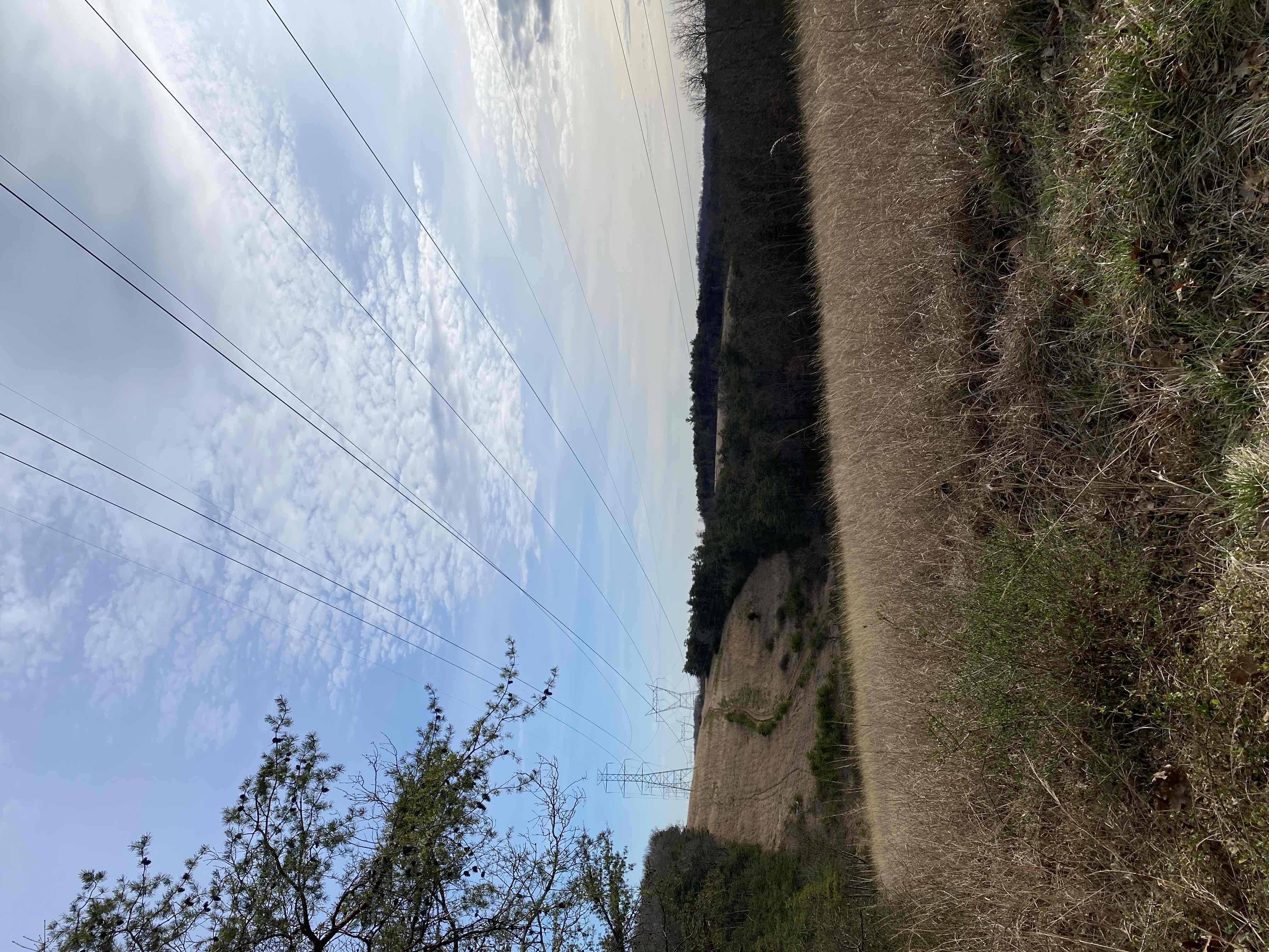 Soldiers Delight Loop