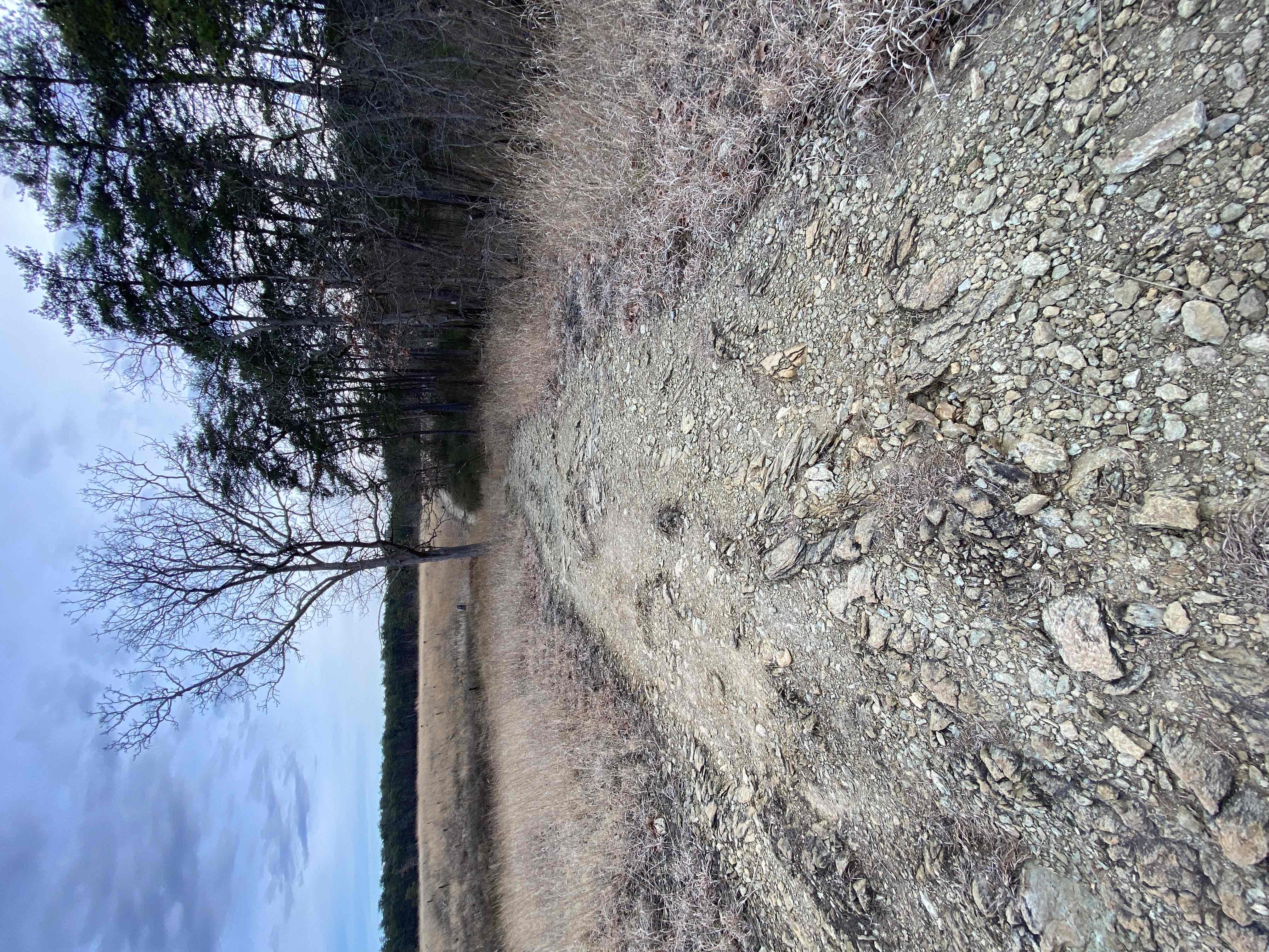 Soldiers Delight Loop