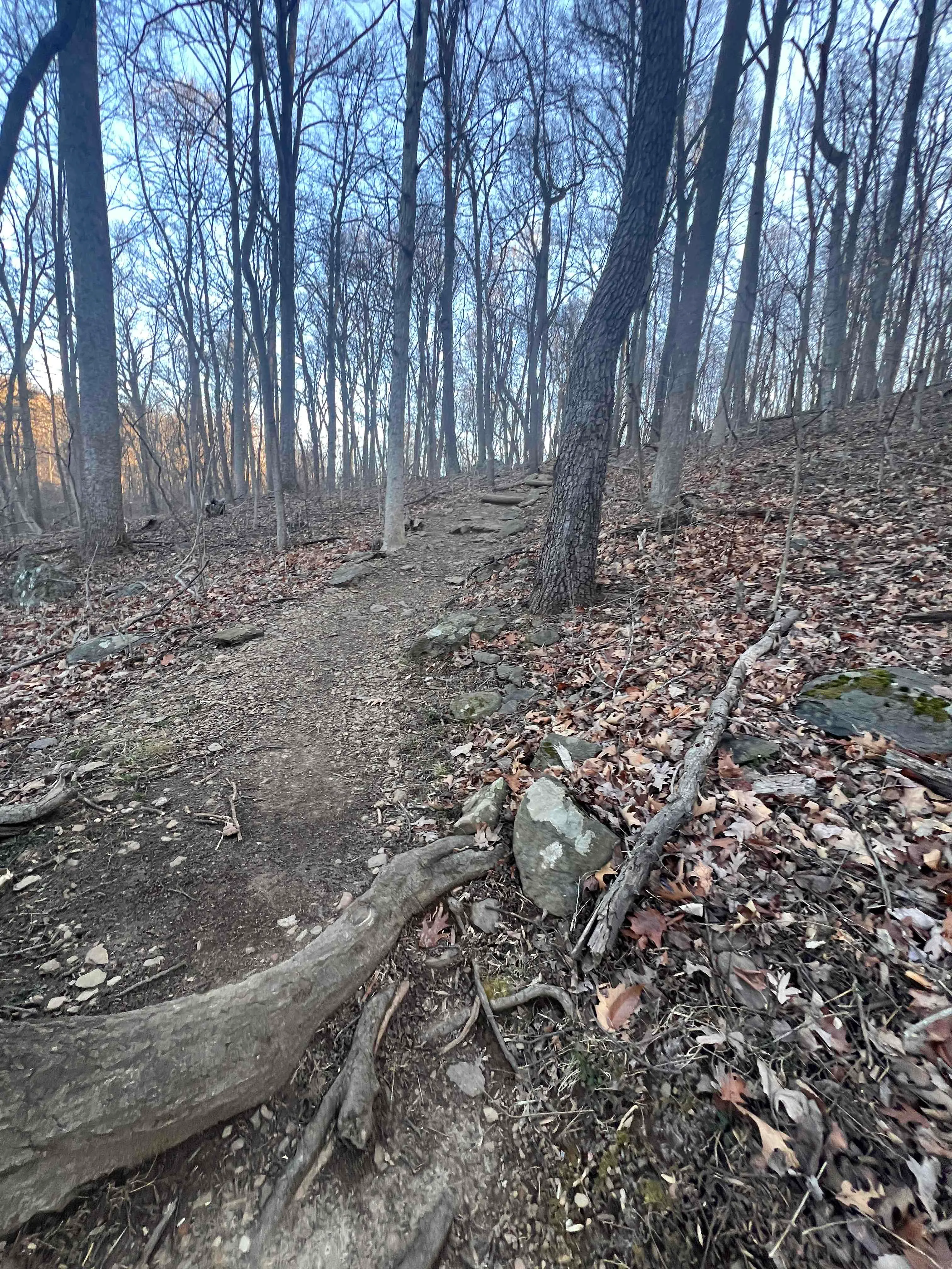 Hike to Hollow Brook Falls
