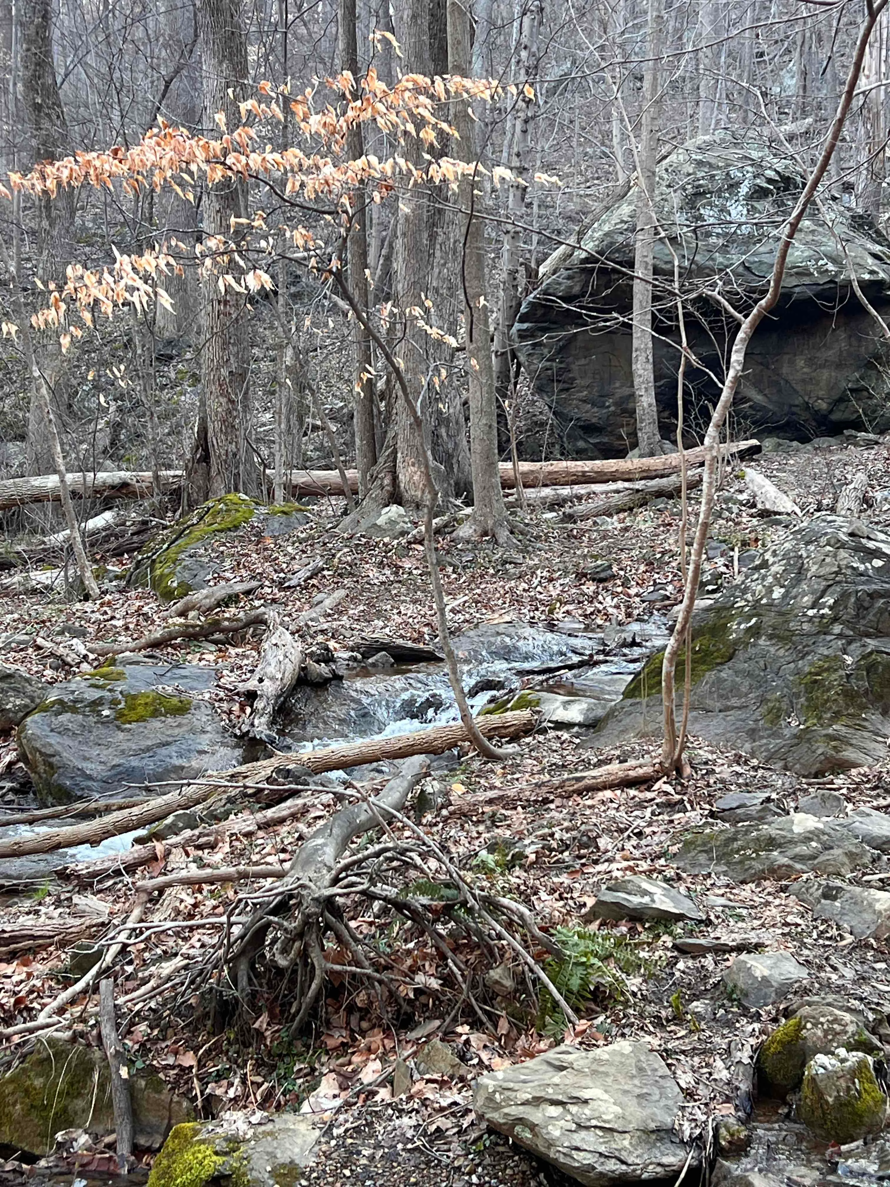 Hike to Hollow Brook Falls