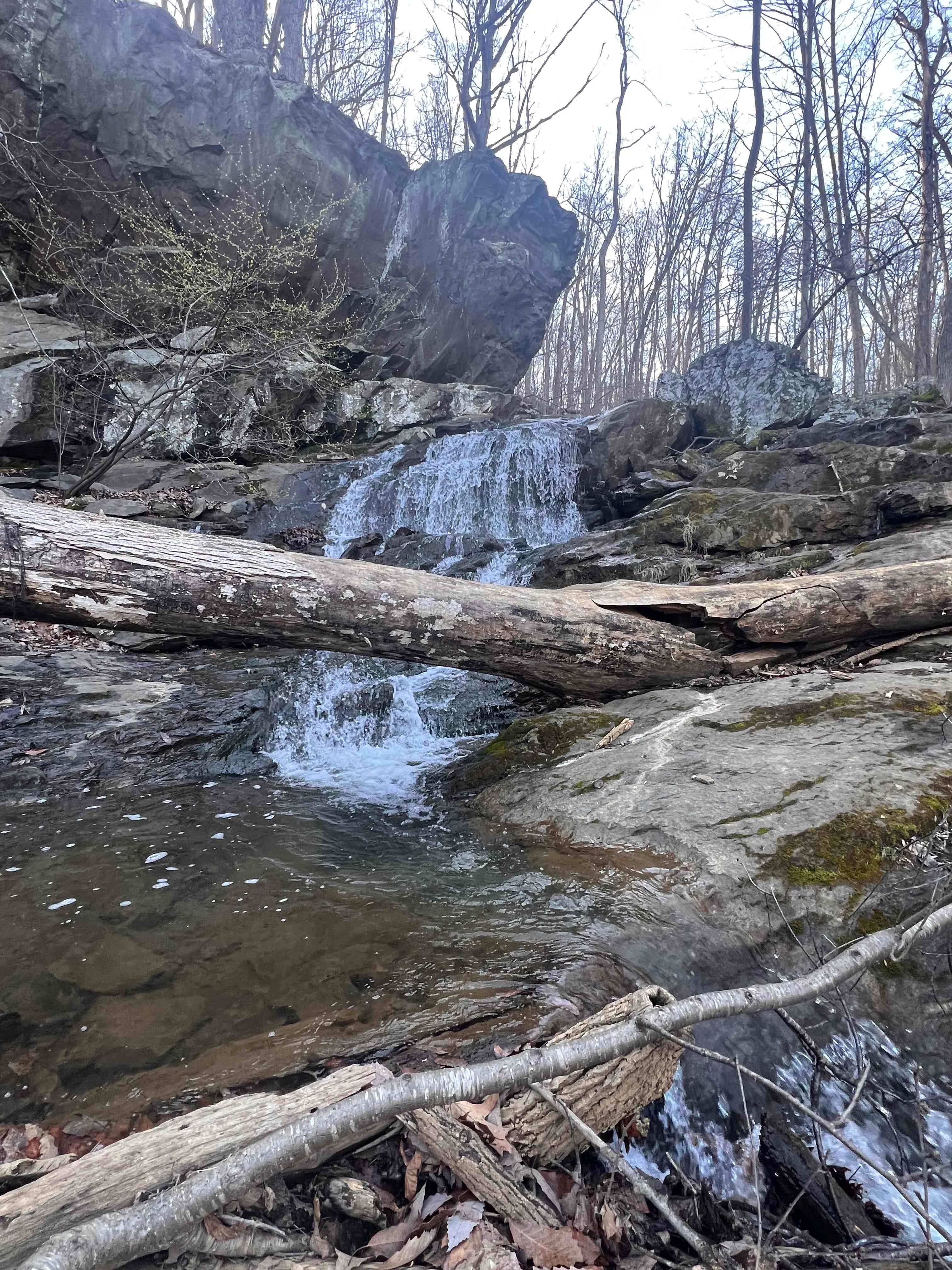 Hike to Hollow Brook Falls