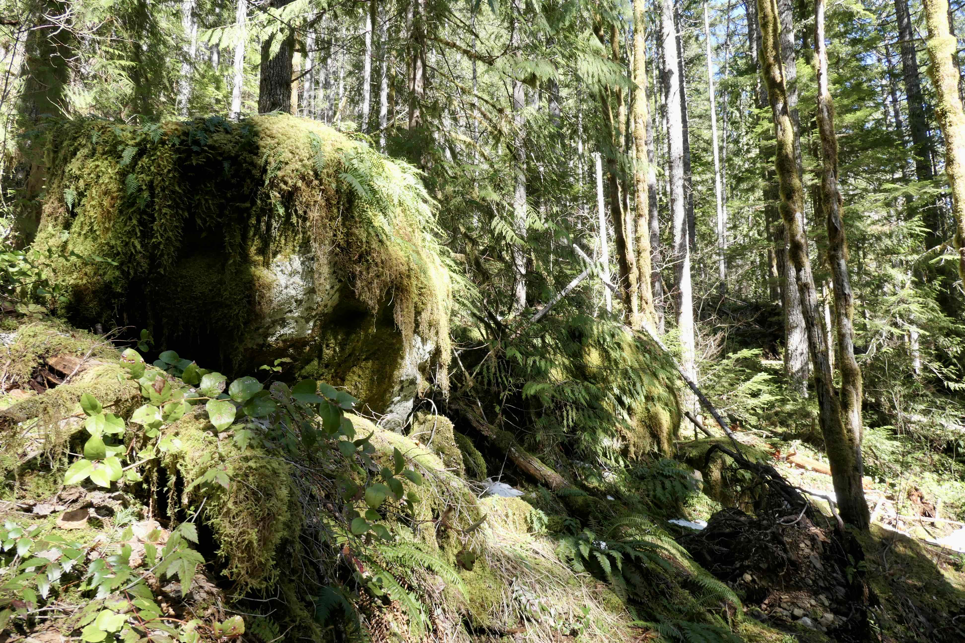 Lena Lake