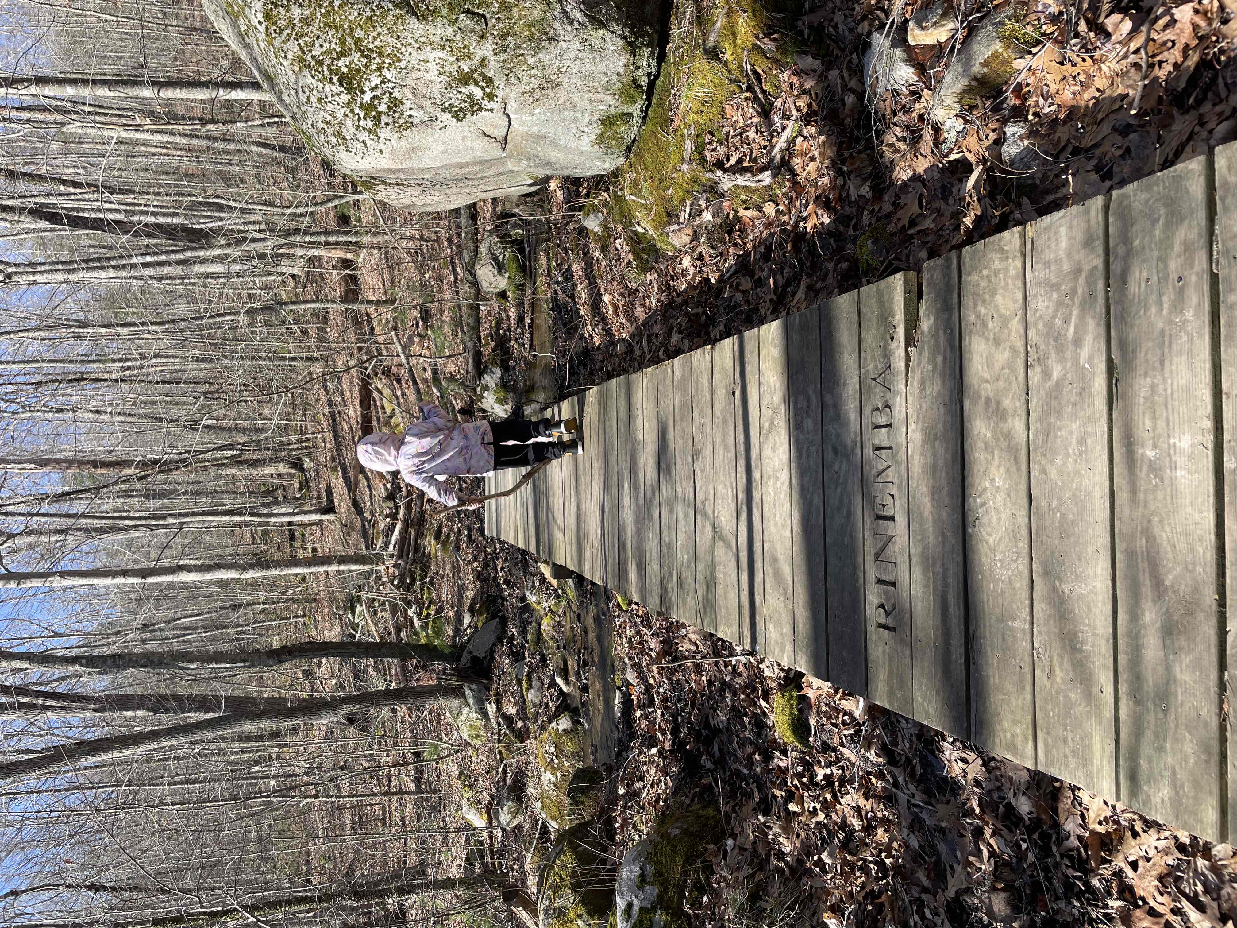 Stepstone Falls via Ben Utter Trail