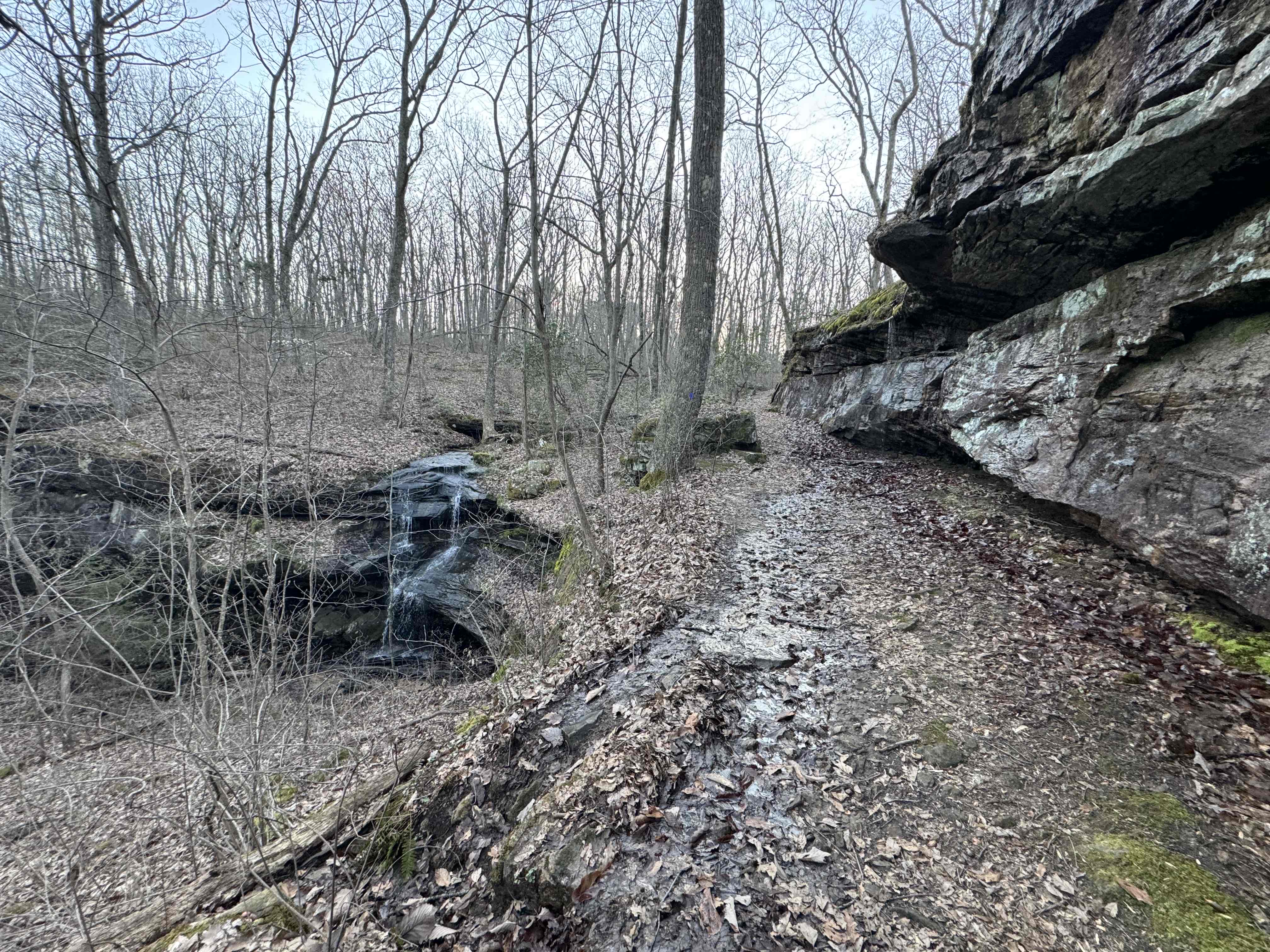 Sewanee Perimeter Trail