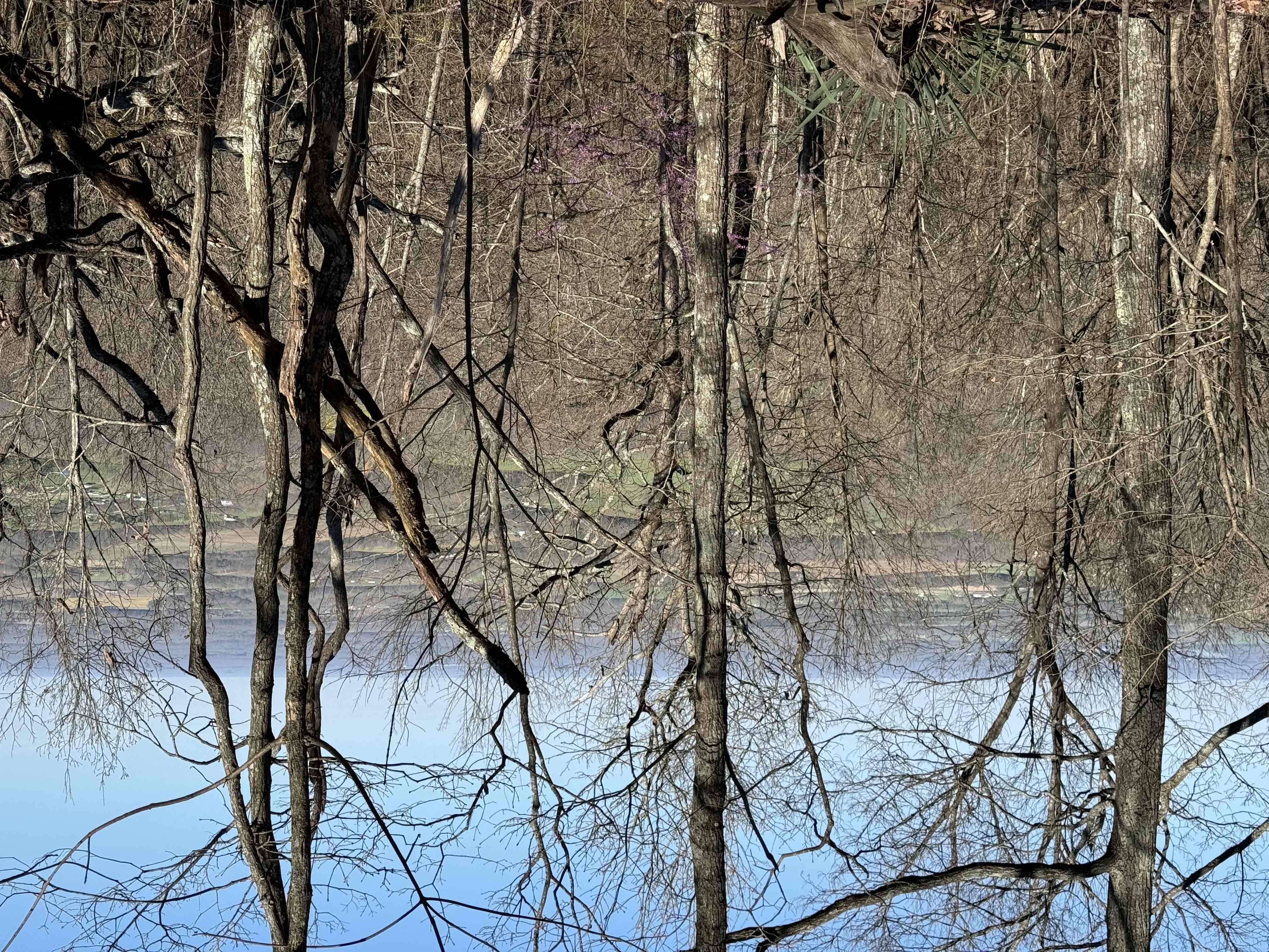 Sewanee Perimeter Trail