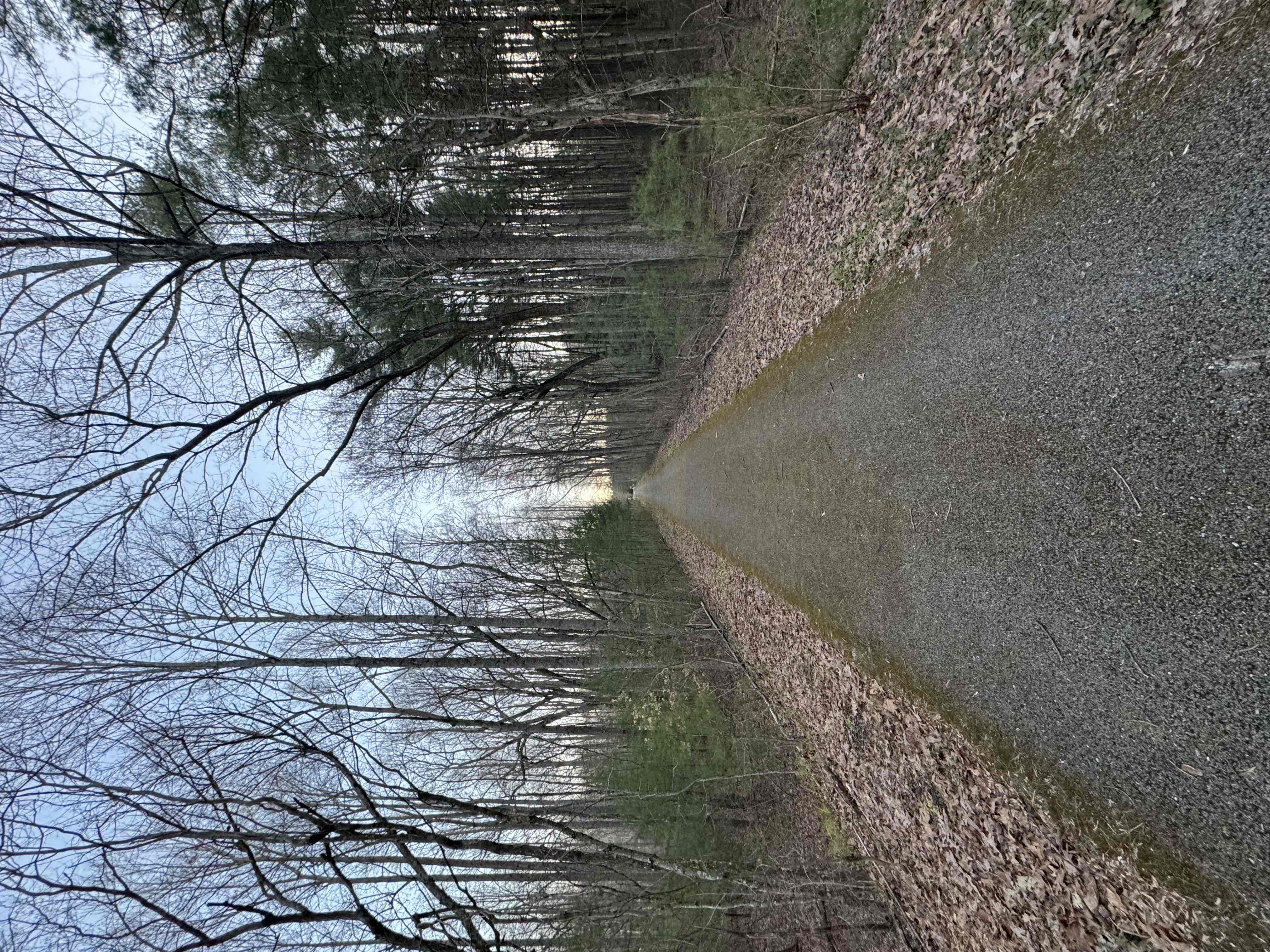Sewanee Perimeter Trail