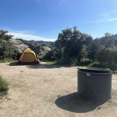 Camping in Anza-Borrego State Park