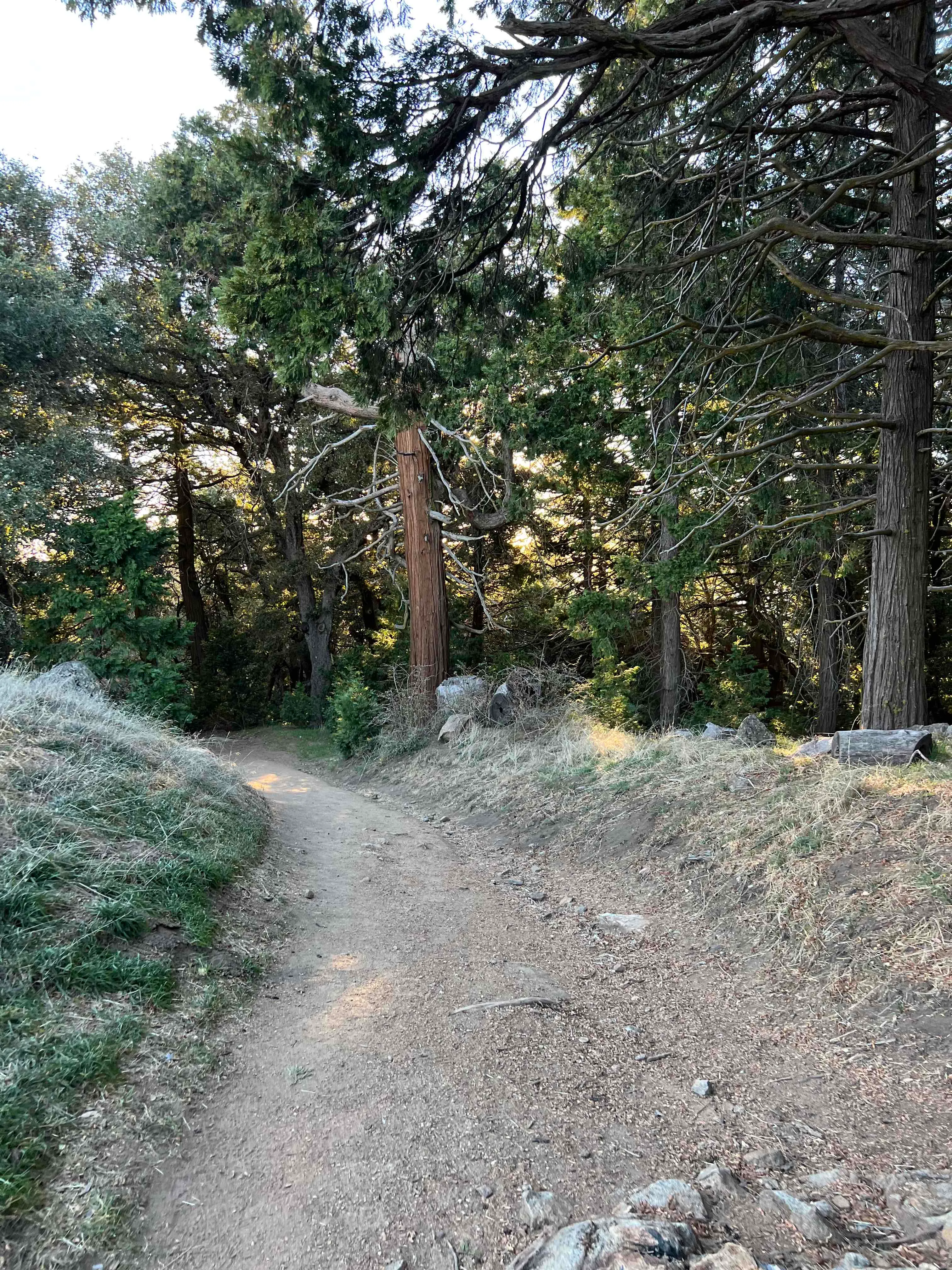 Volcan Mountain Trail