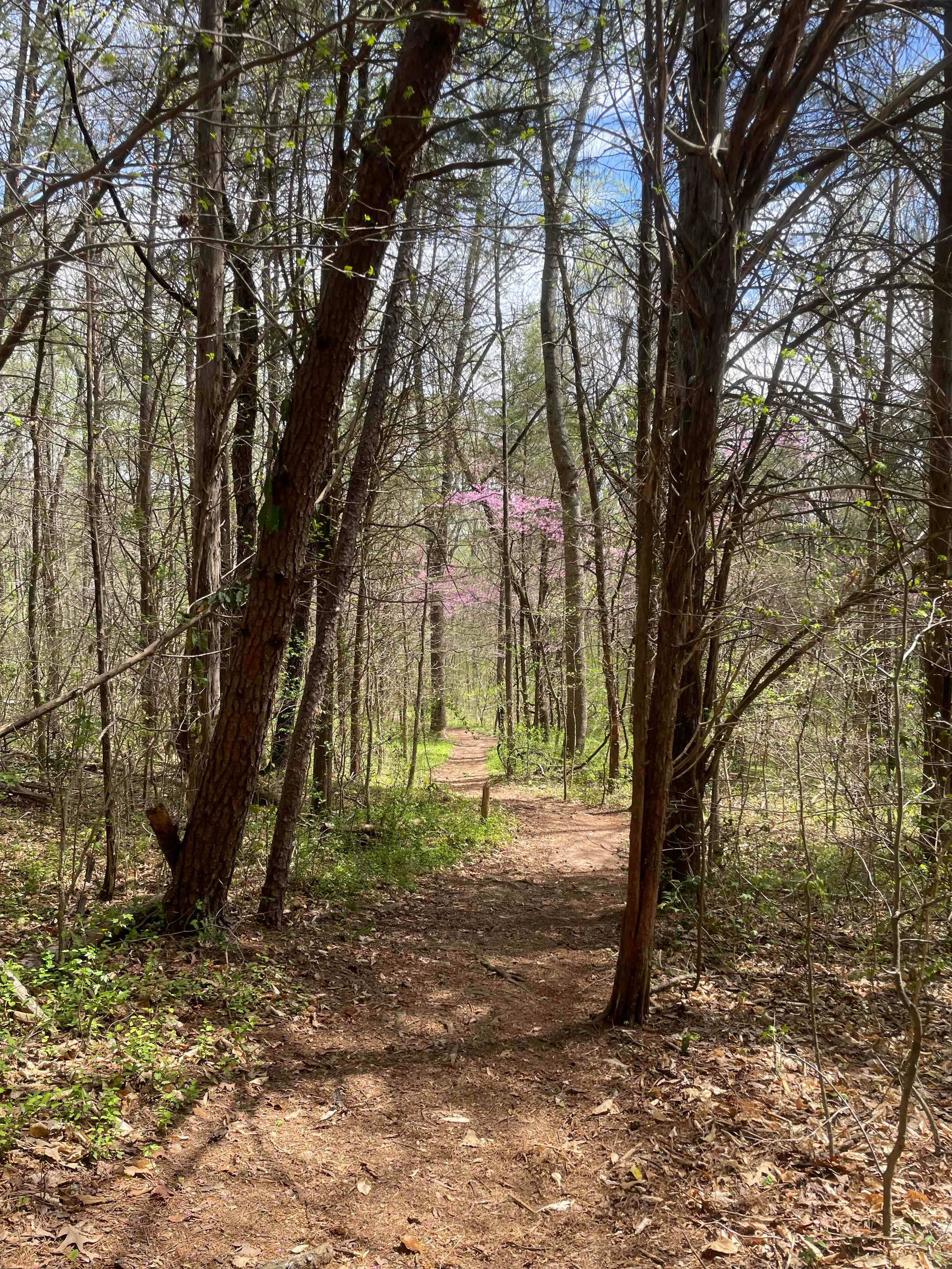 Piedmont Trail