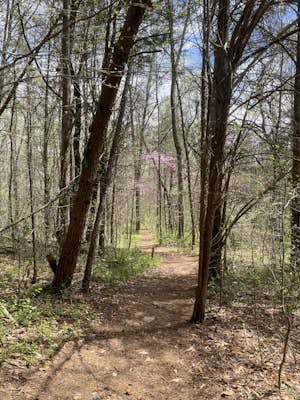 Piedmont Trail