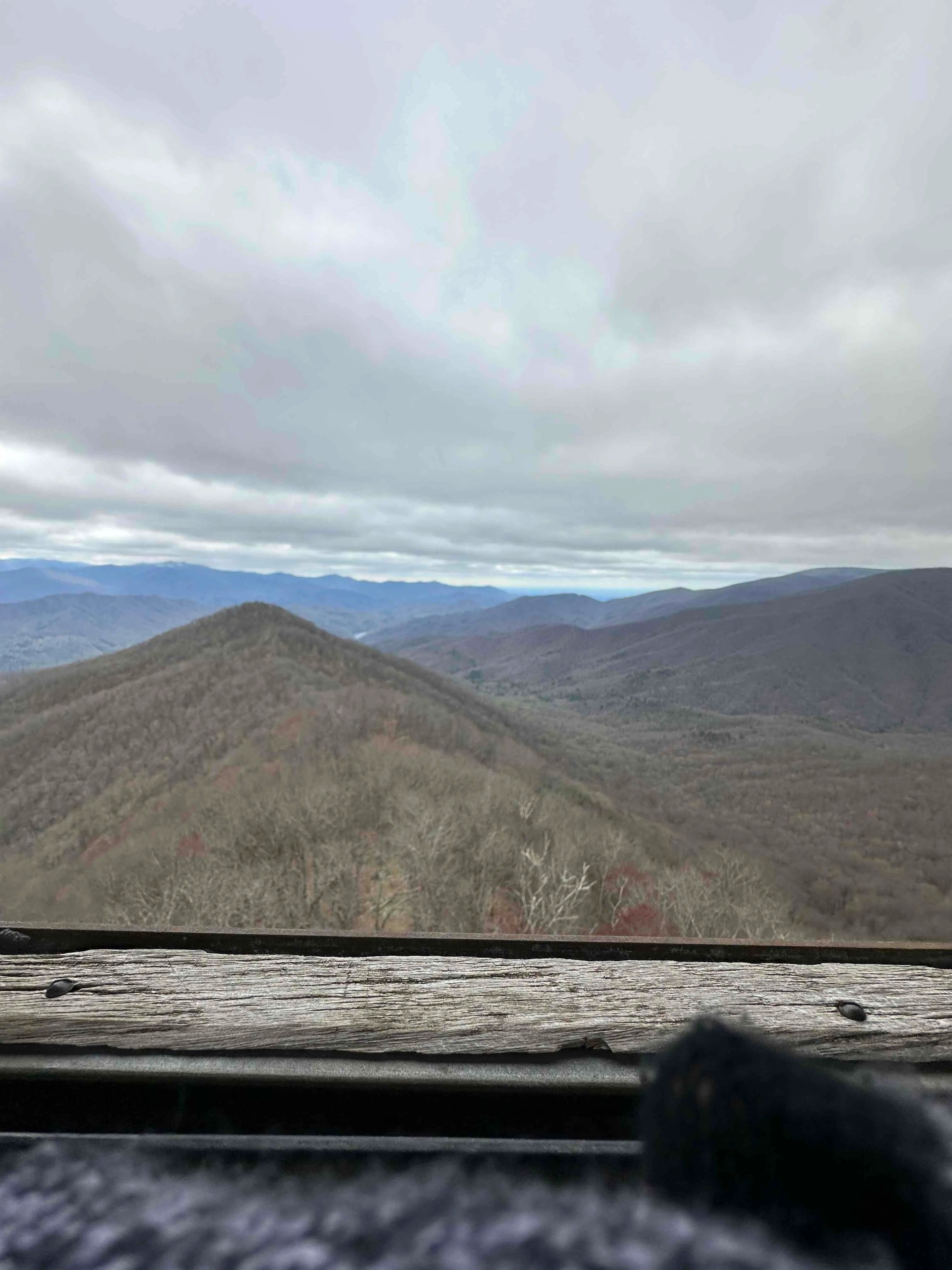 Shuckstack Fire Tower