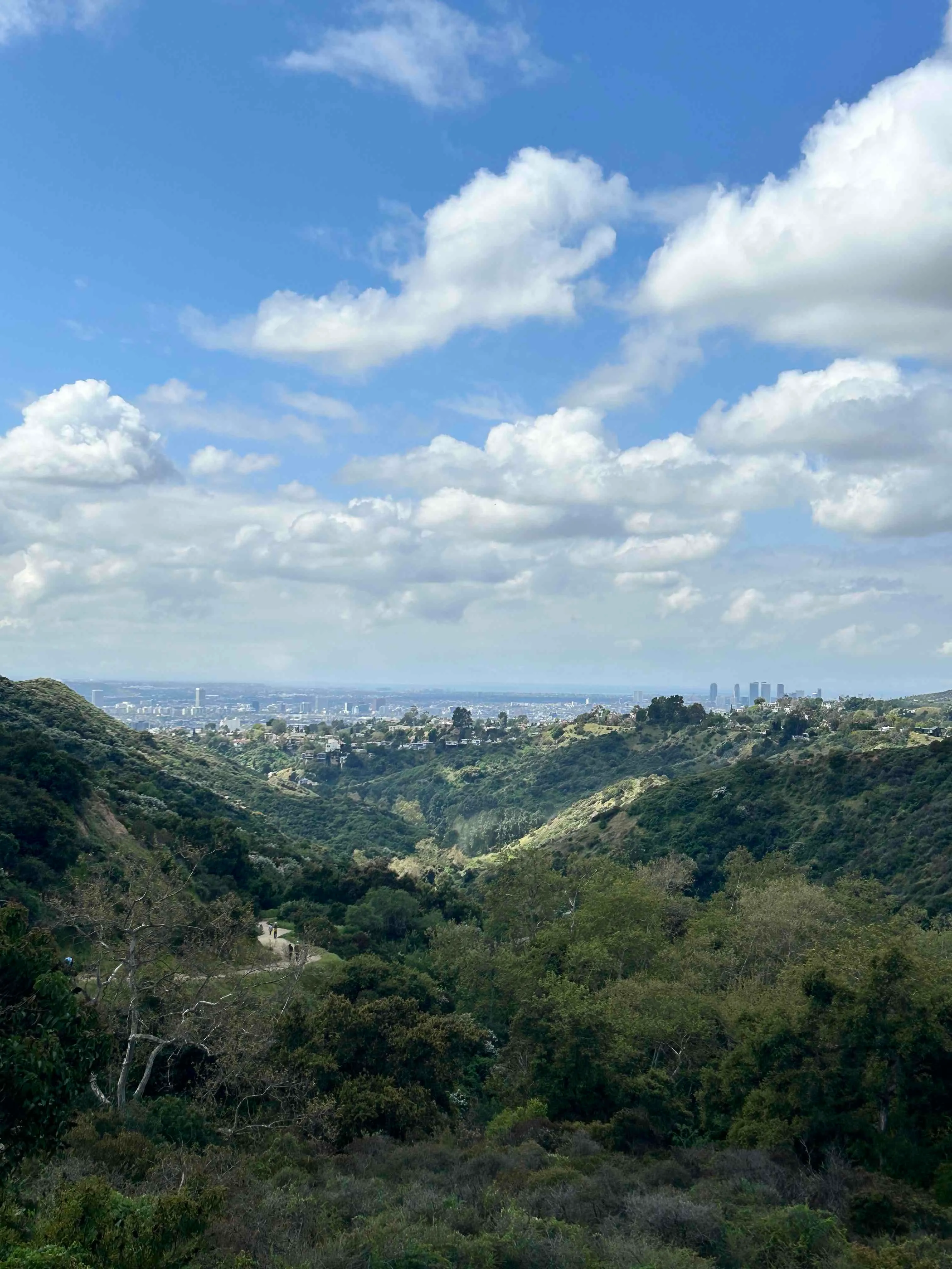 Hollywood Sign via Brush Canyon Trail
