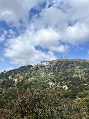 Hollywood Sign via Brush Canyon Trail