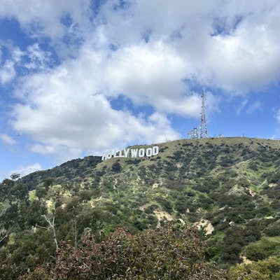 Hollywood Sign via Brush Canyon Trail