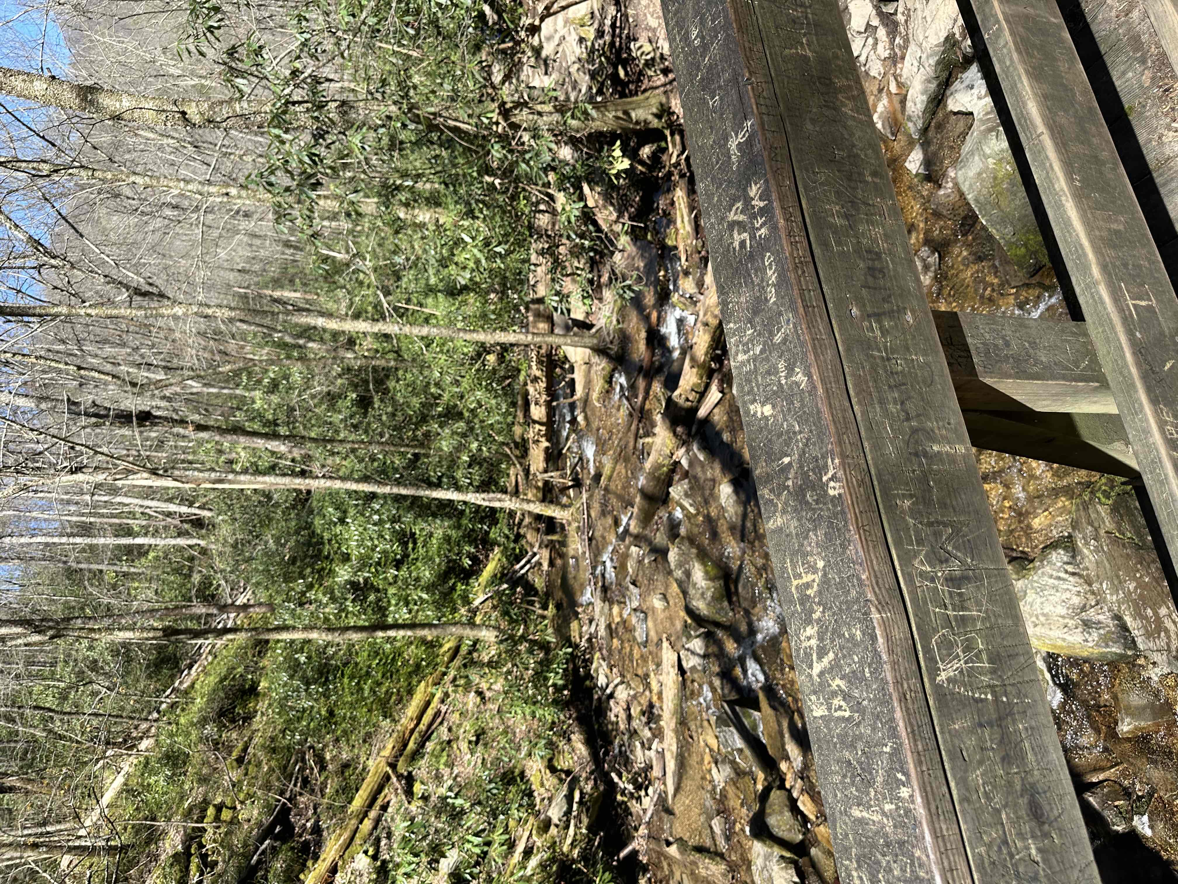 Mingo Falls