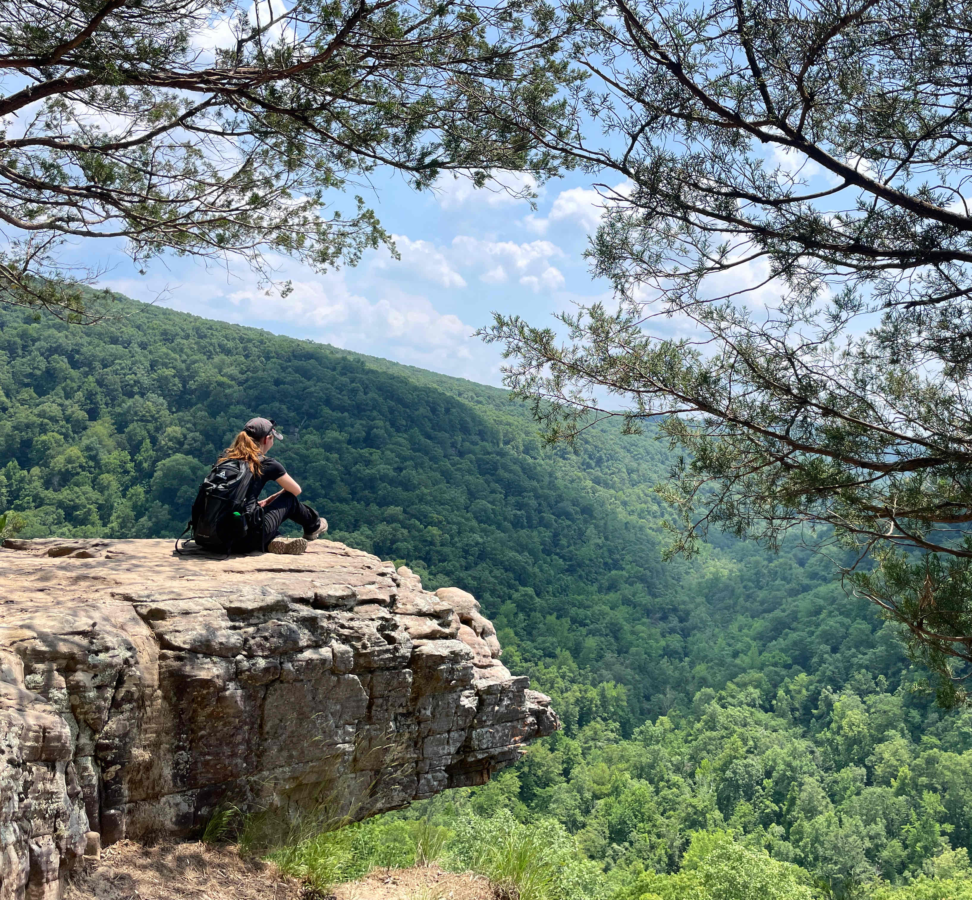 Hawksbill Crag via Whitaker Point Trail