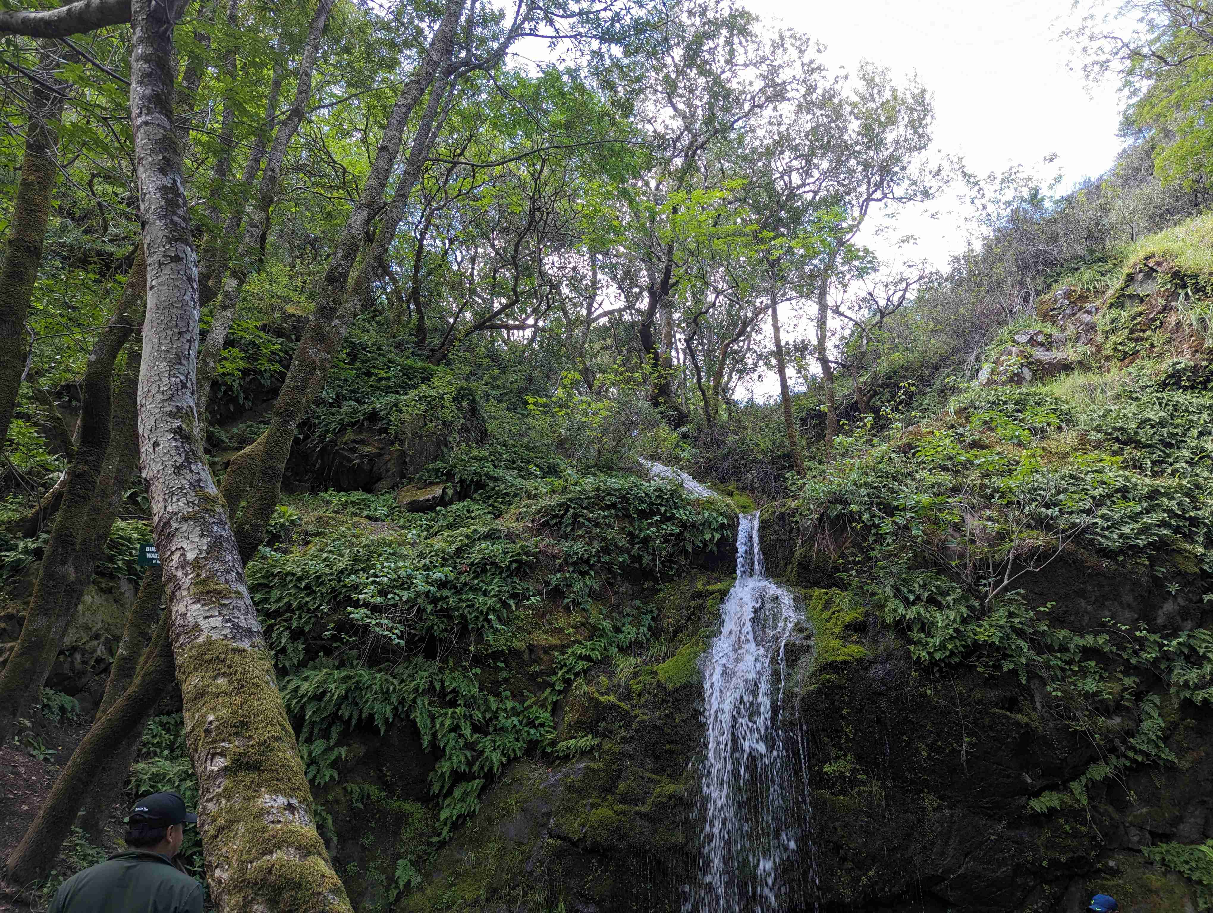 Buck Gulch Falls Trail