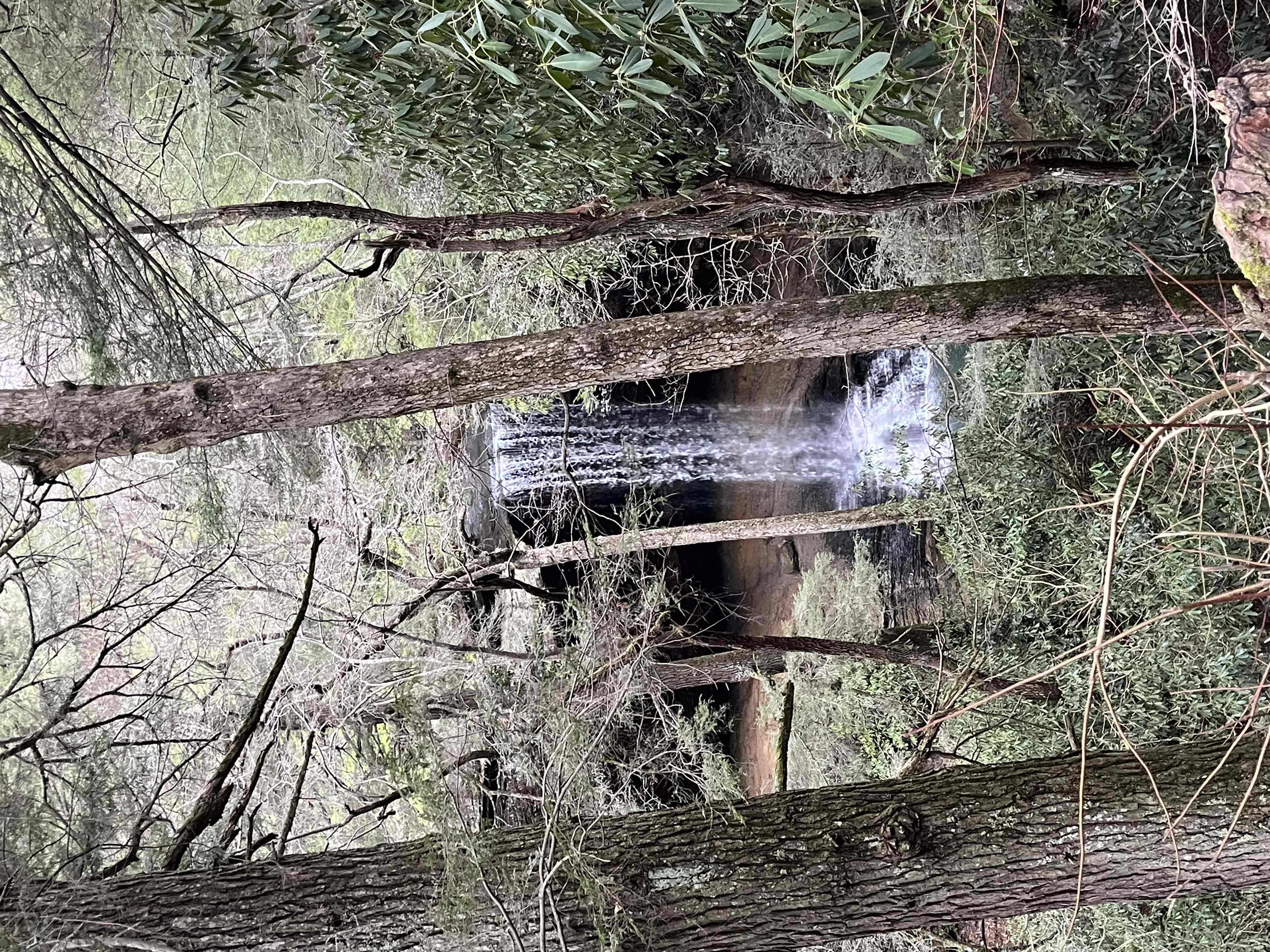 Northrup Falls