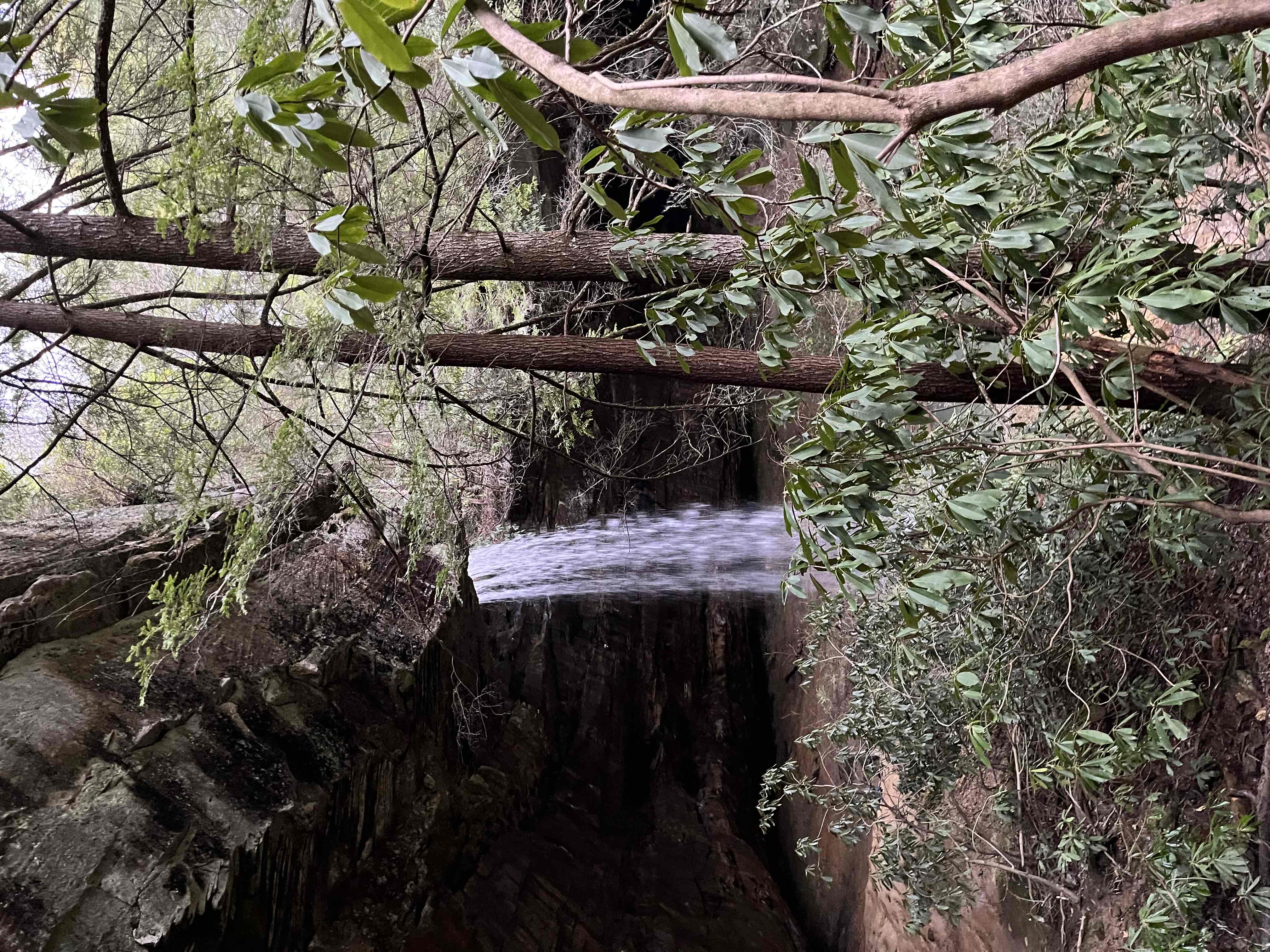 Northrup Falls