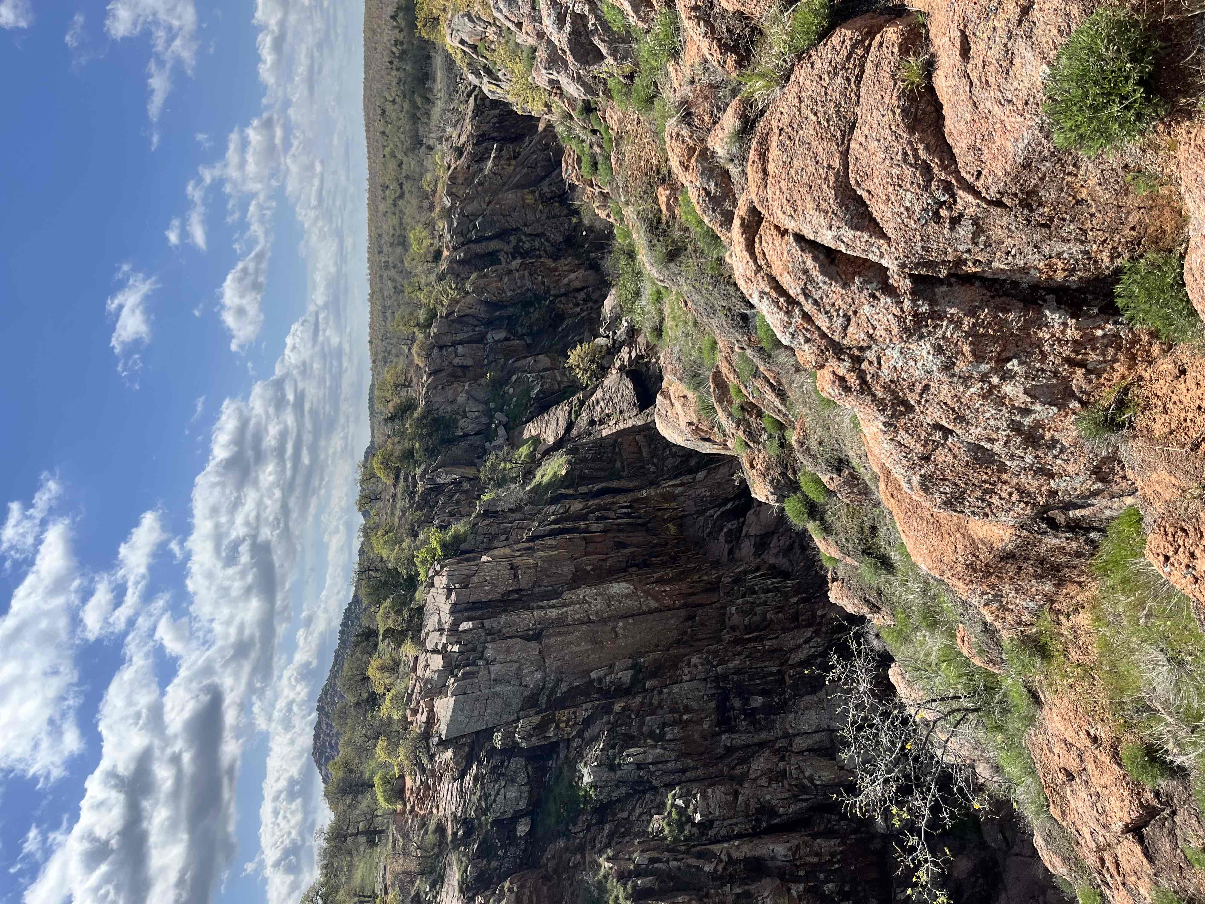 Bison Trail