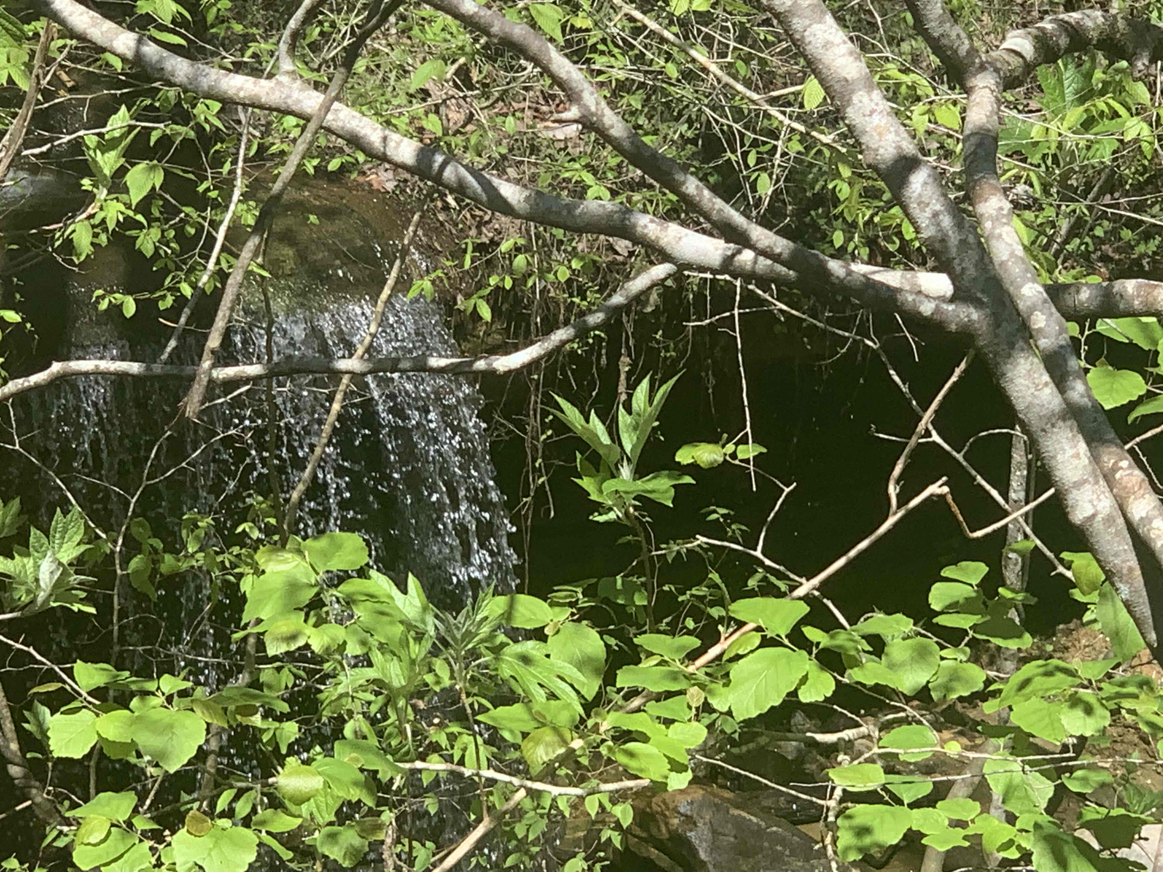 Kinlock Falls