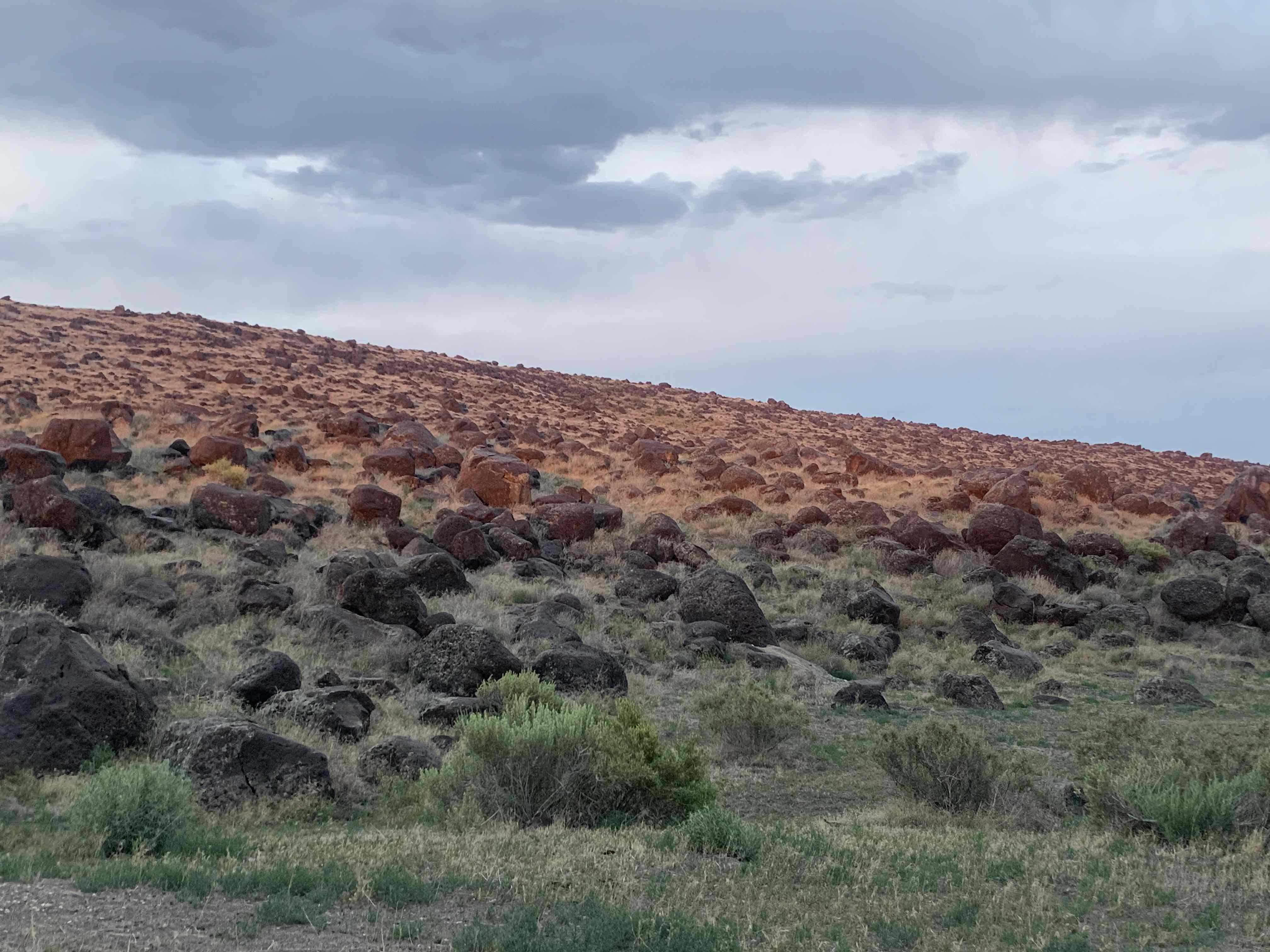 Celebration Park