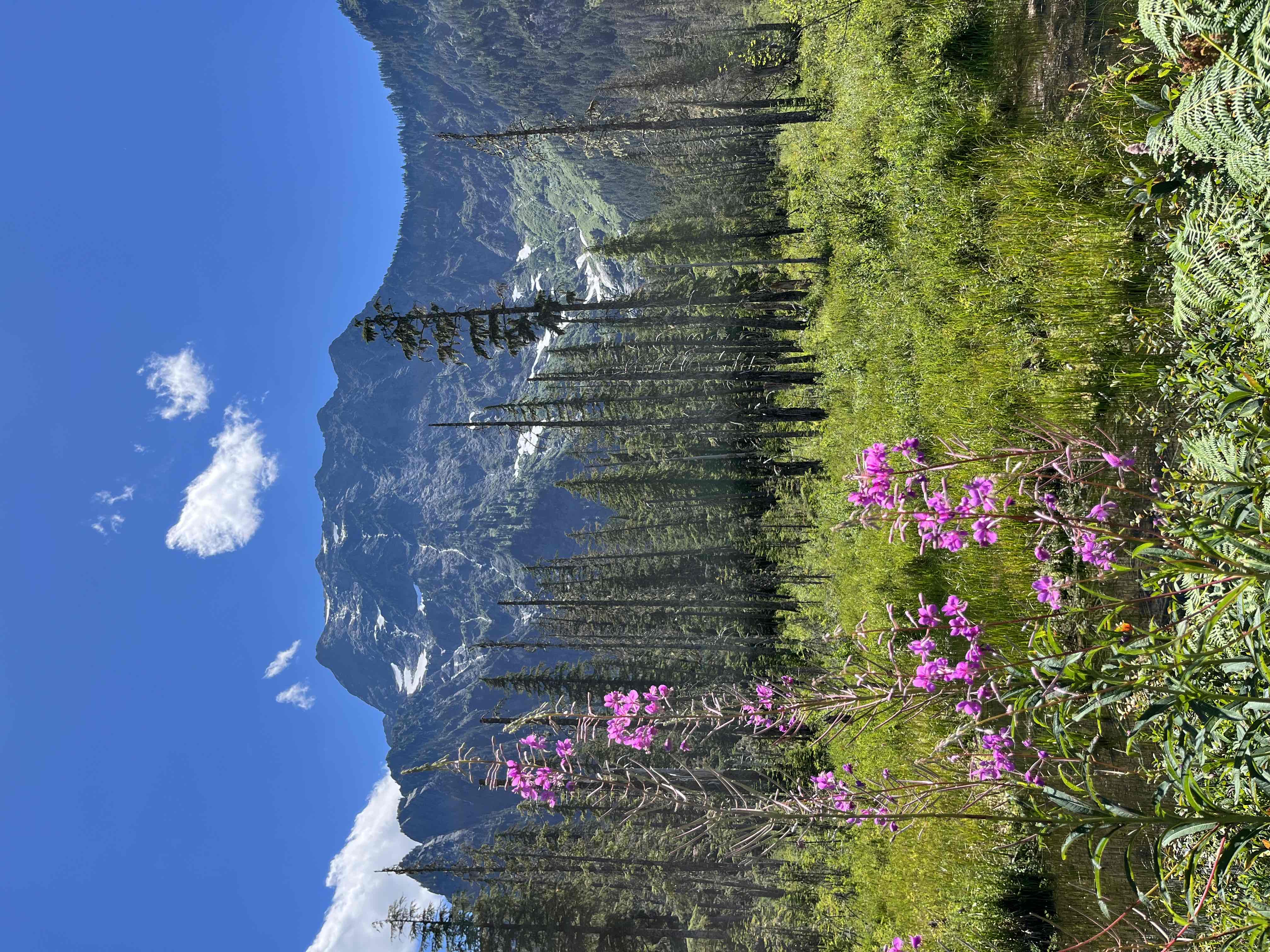 Big Four Ice Caves