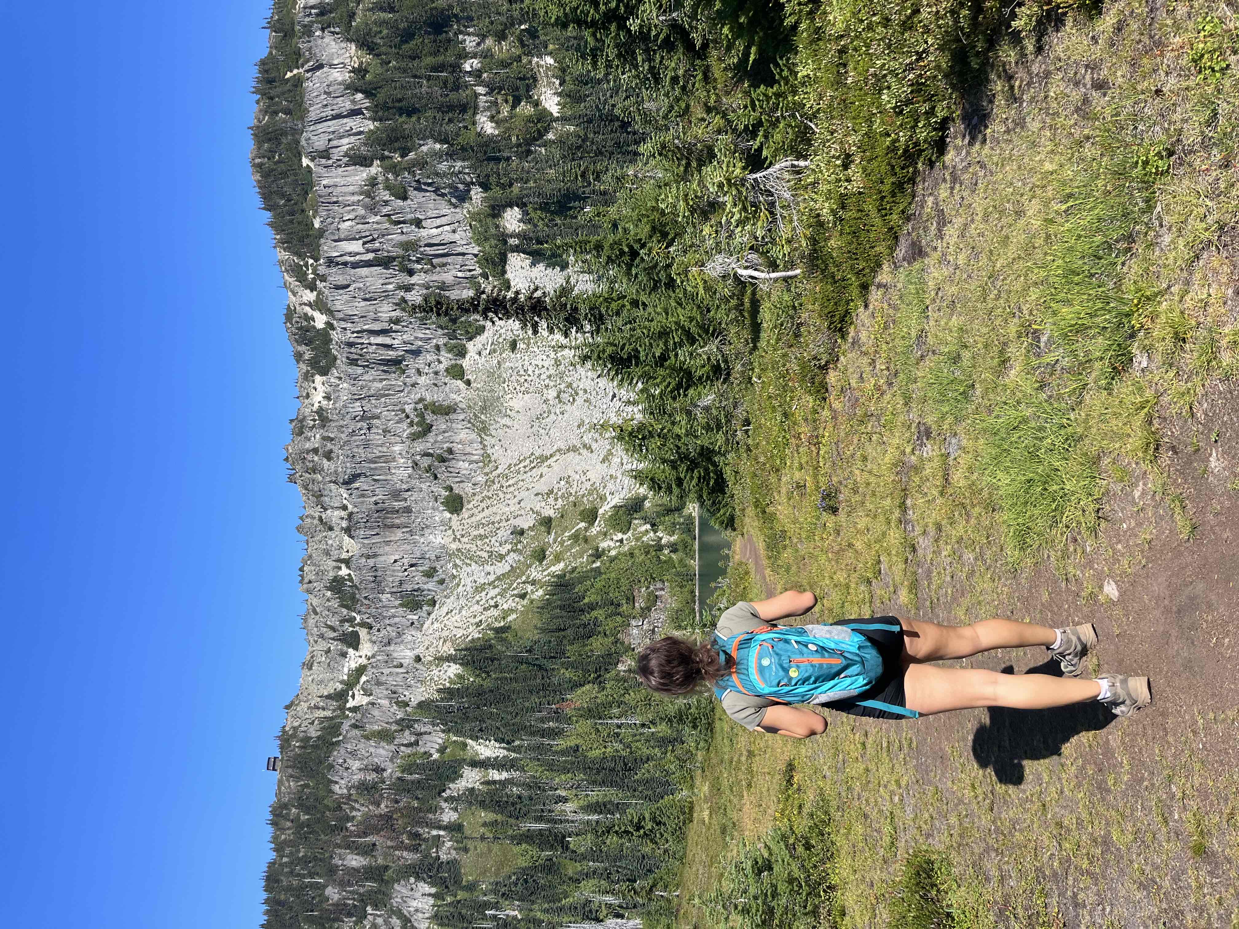 Tolmie Peak's Fire Lookout
