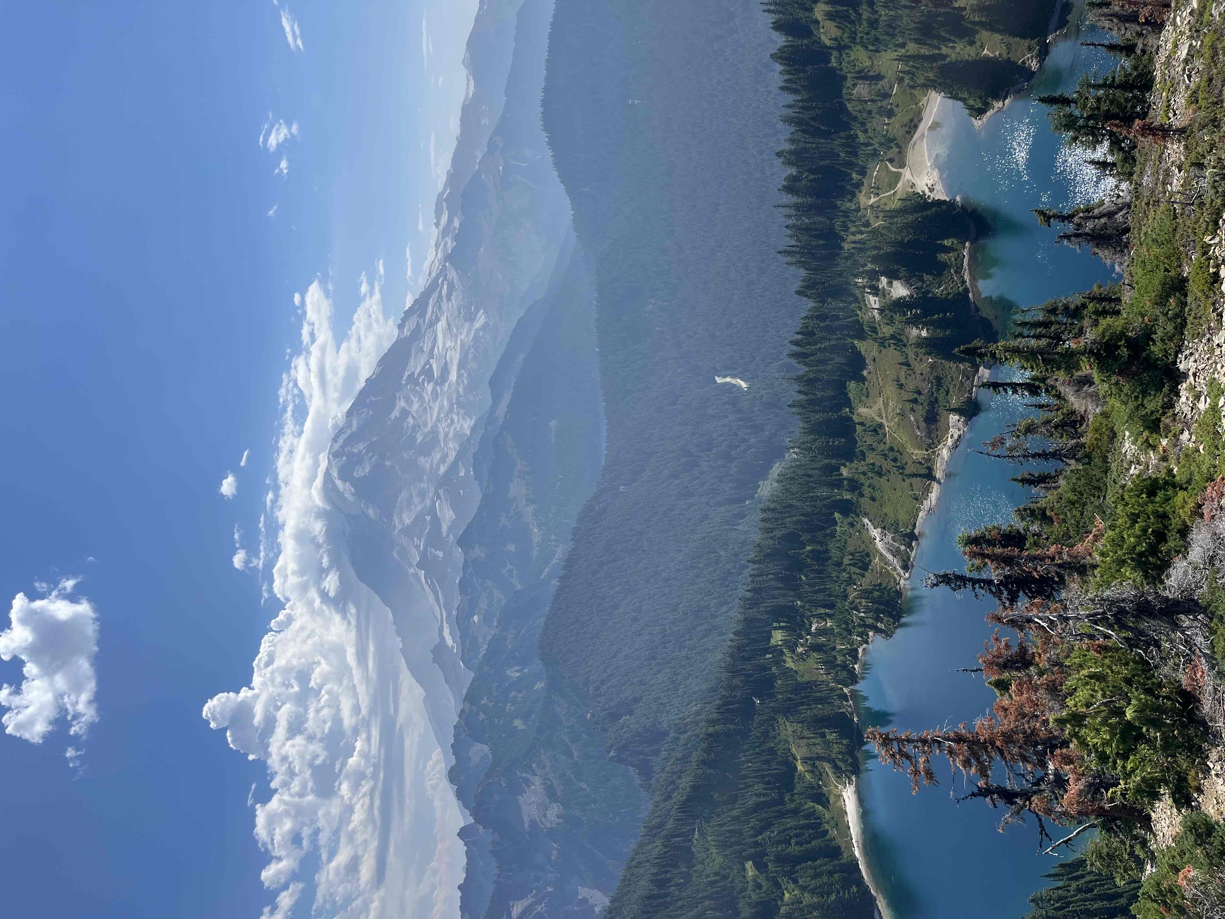 Tolmie Peak's Fire Lookout