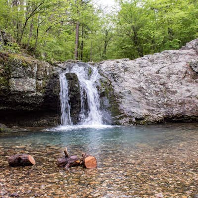 Falls Creek Falls via Falls Branch Trail