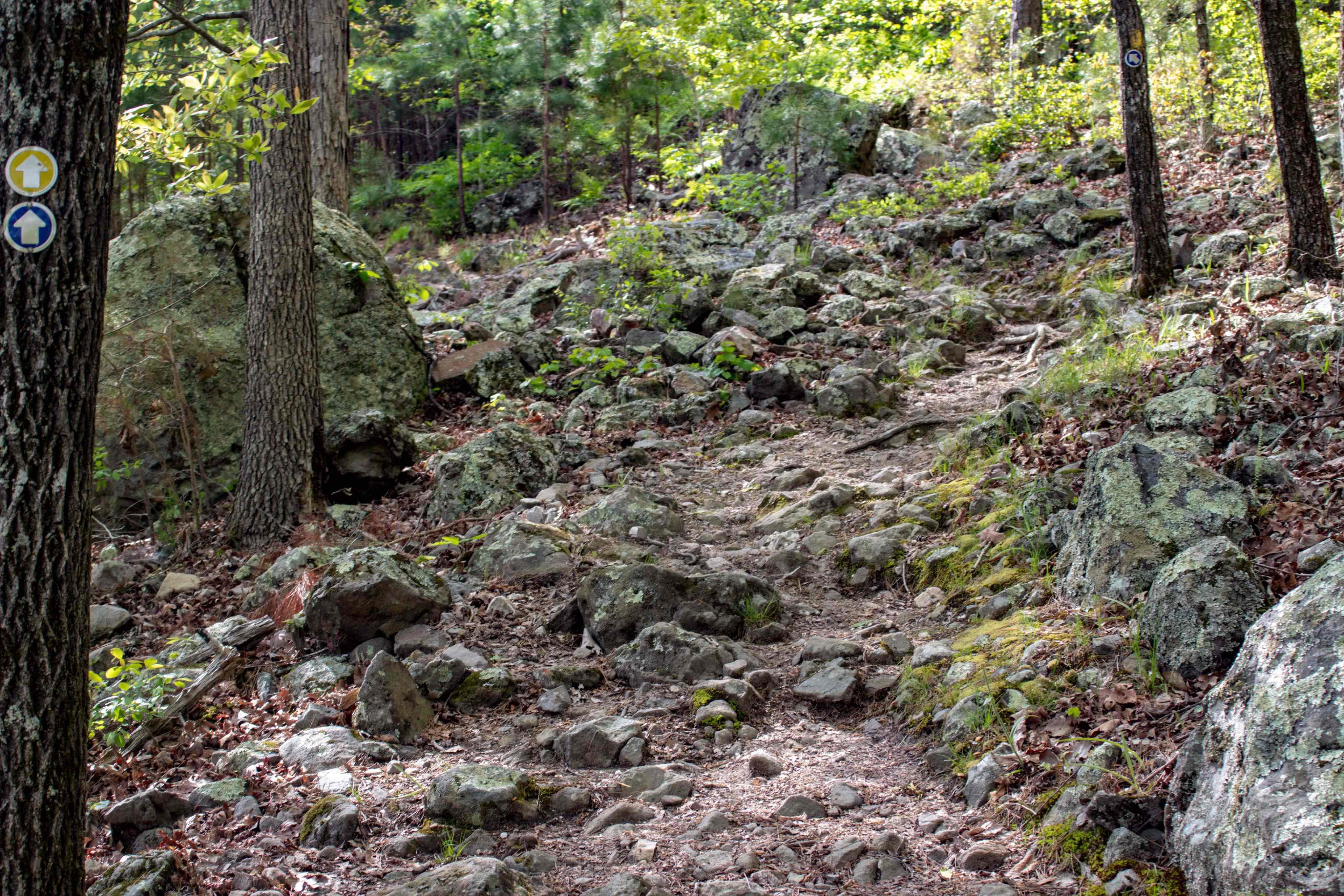 Caddo Bend Trail