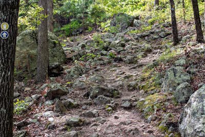Caddo Bend Trail