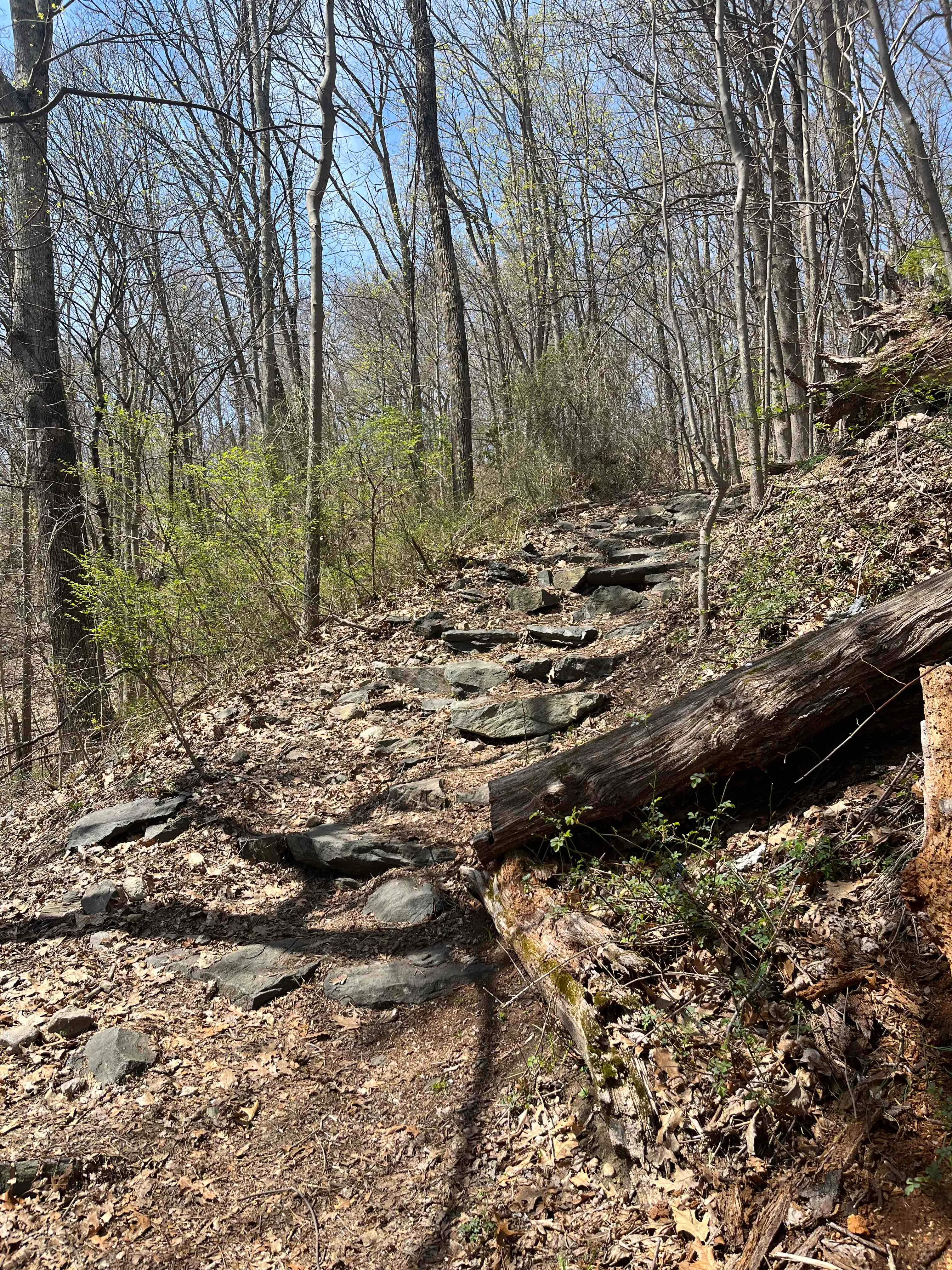 Neutaconkanut Loop