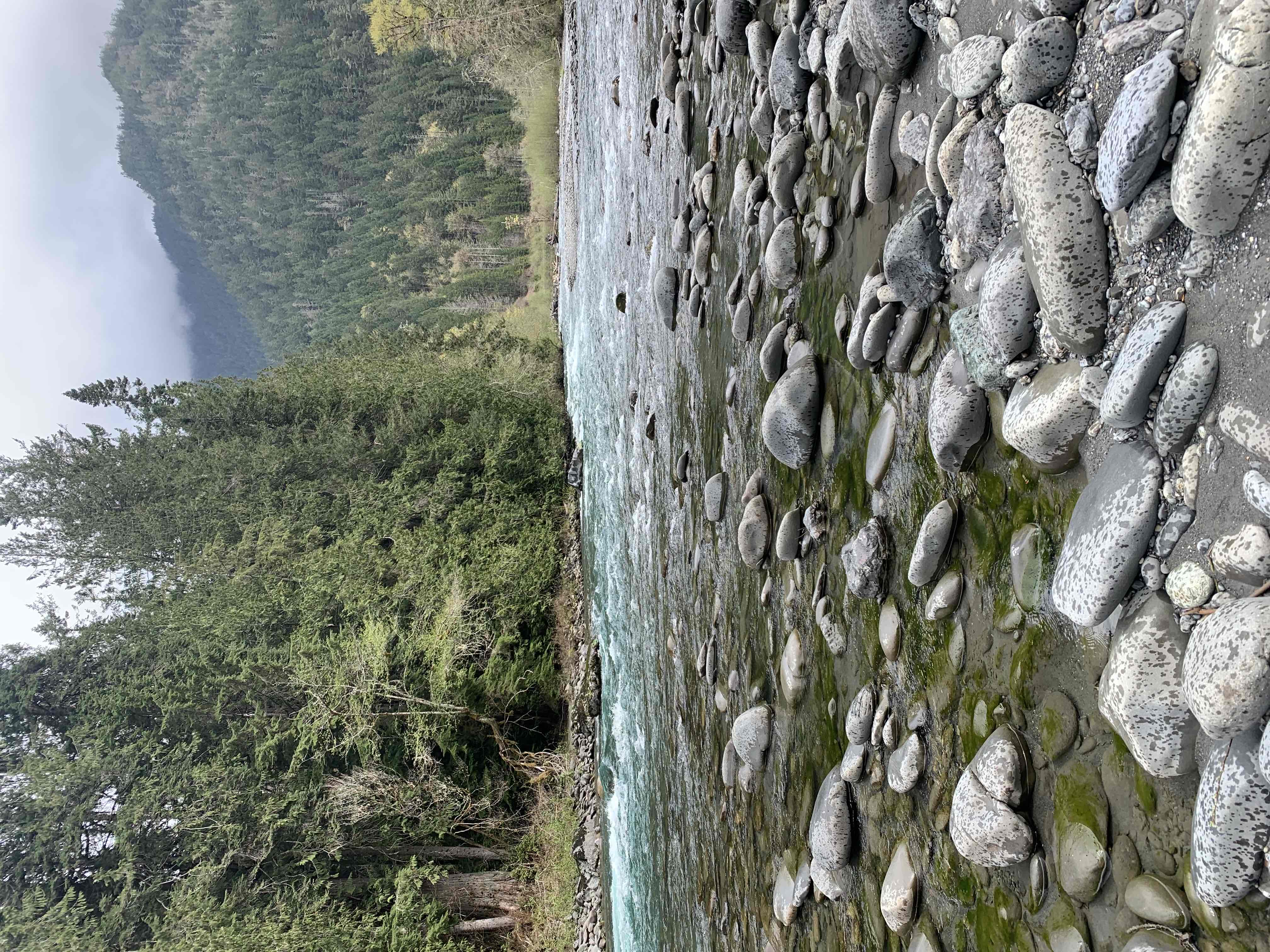 West Elwha River Trail